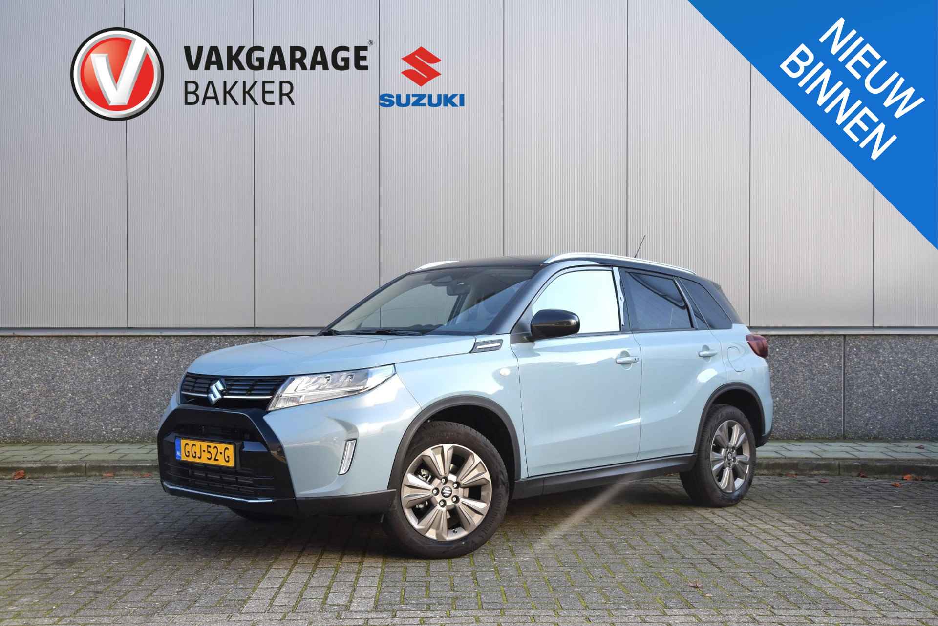 Suzuki Vitara BOVAG 40-Puntencheck