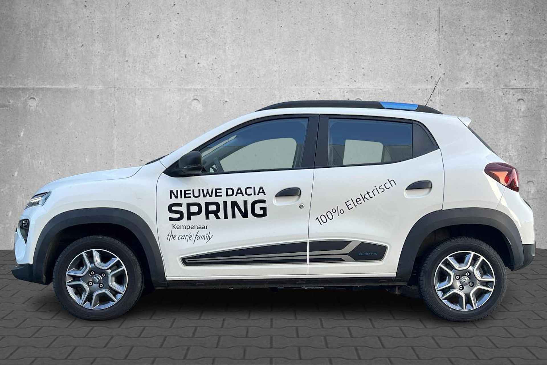 Dacia Spring Business - 3/25