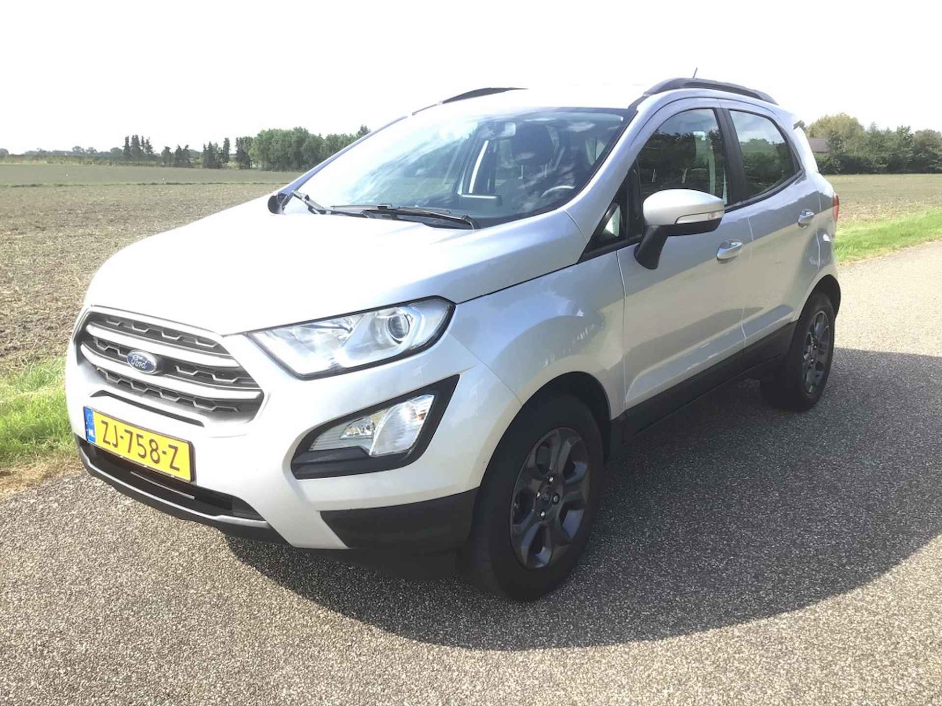 Ford EcoSport BOVAG 40-Puntencheck