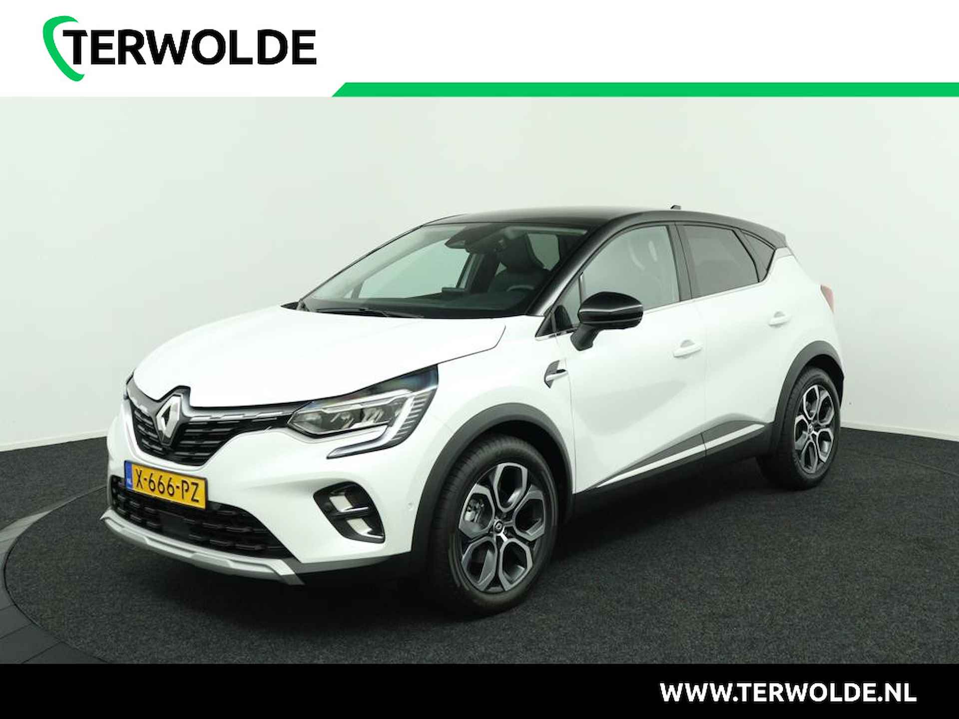 Renault Captur BOVAG 40-Puntencheck