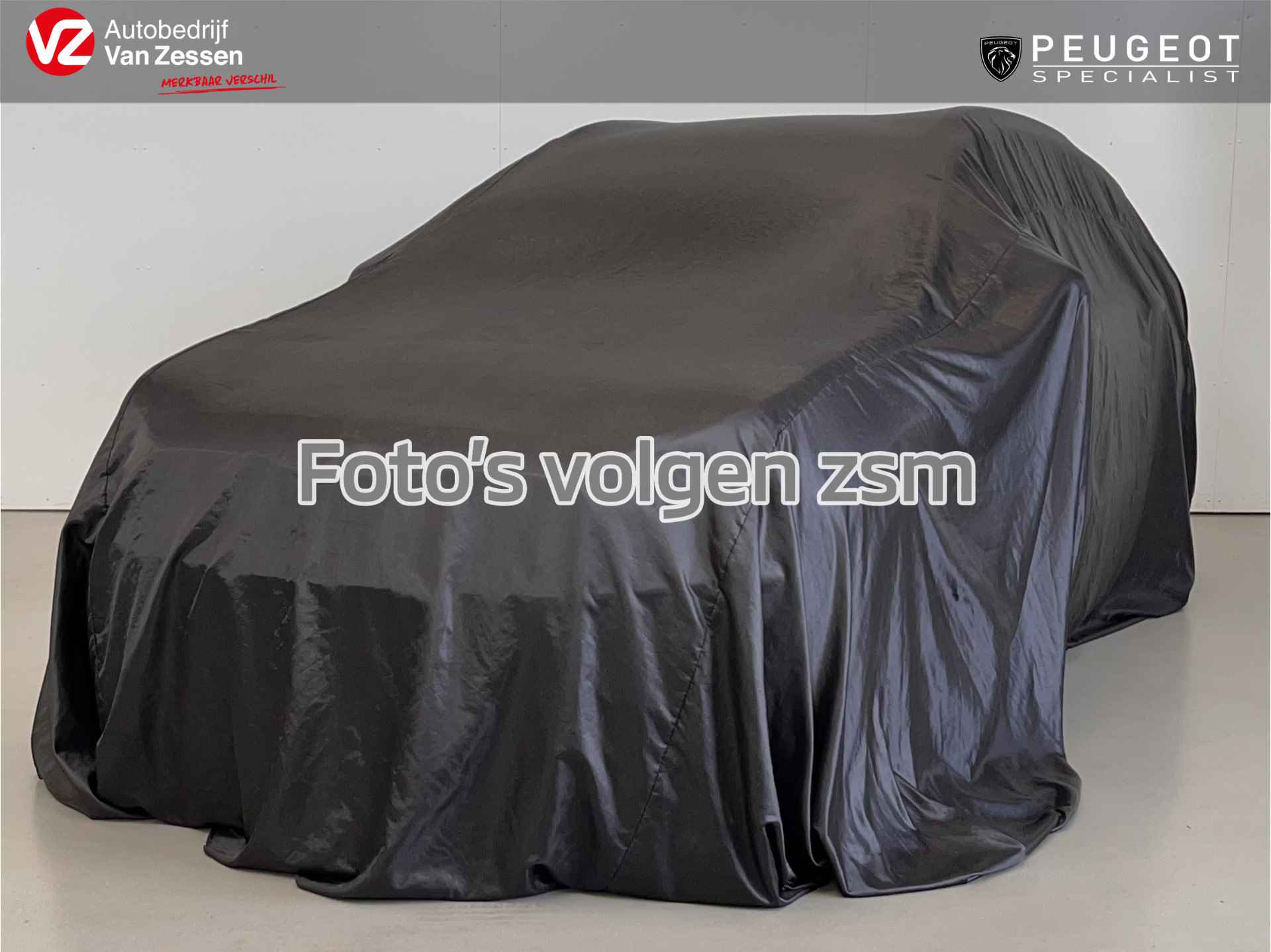 Peugeot 2008 BOVAG 40-Puntencheck