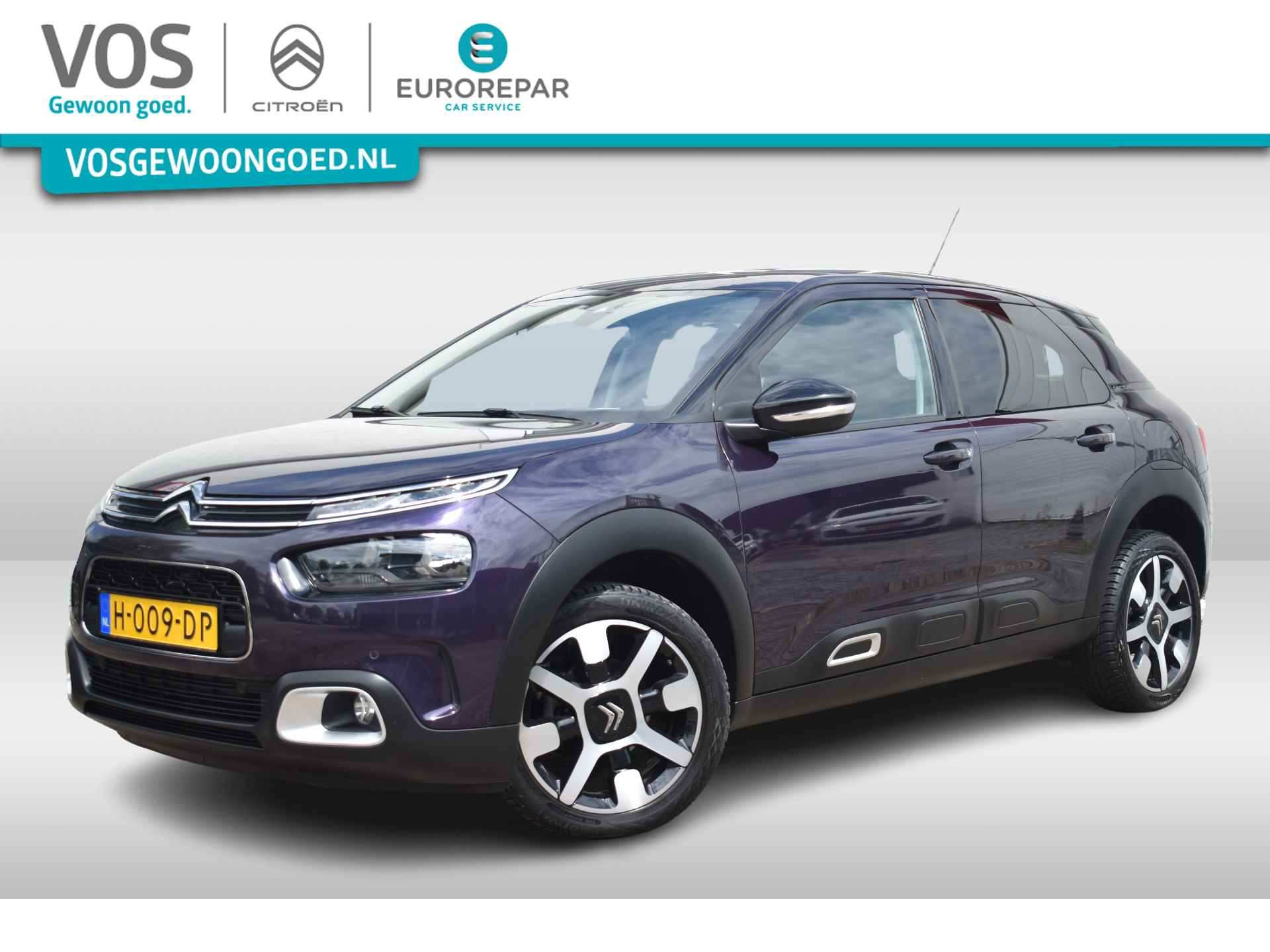 Citroën C4 Cactus BOVAG 40-Puntencheck