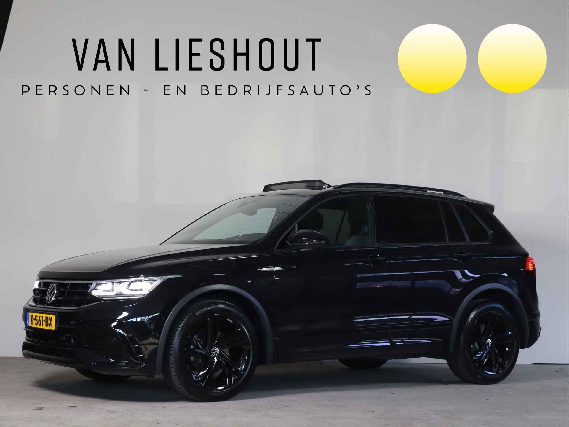 Volkswagen Tiguan BOVAG 40-Puntencheck