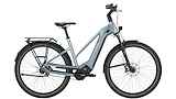 PEGASUS ESTREMO EVO 12 Lite Mixed Holographic Grey 28" 50cm 2025