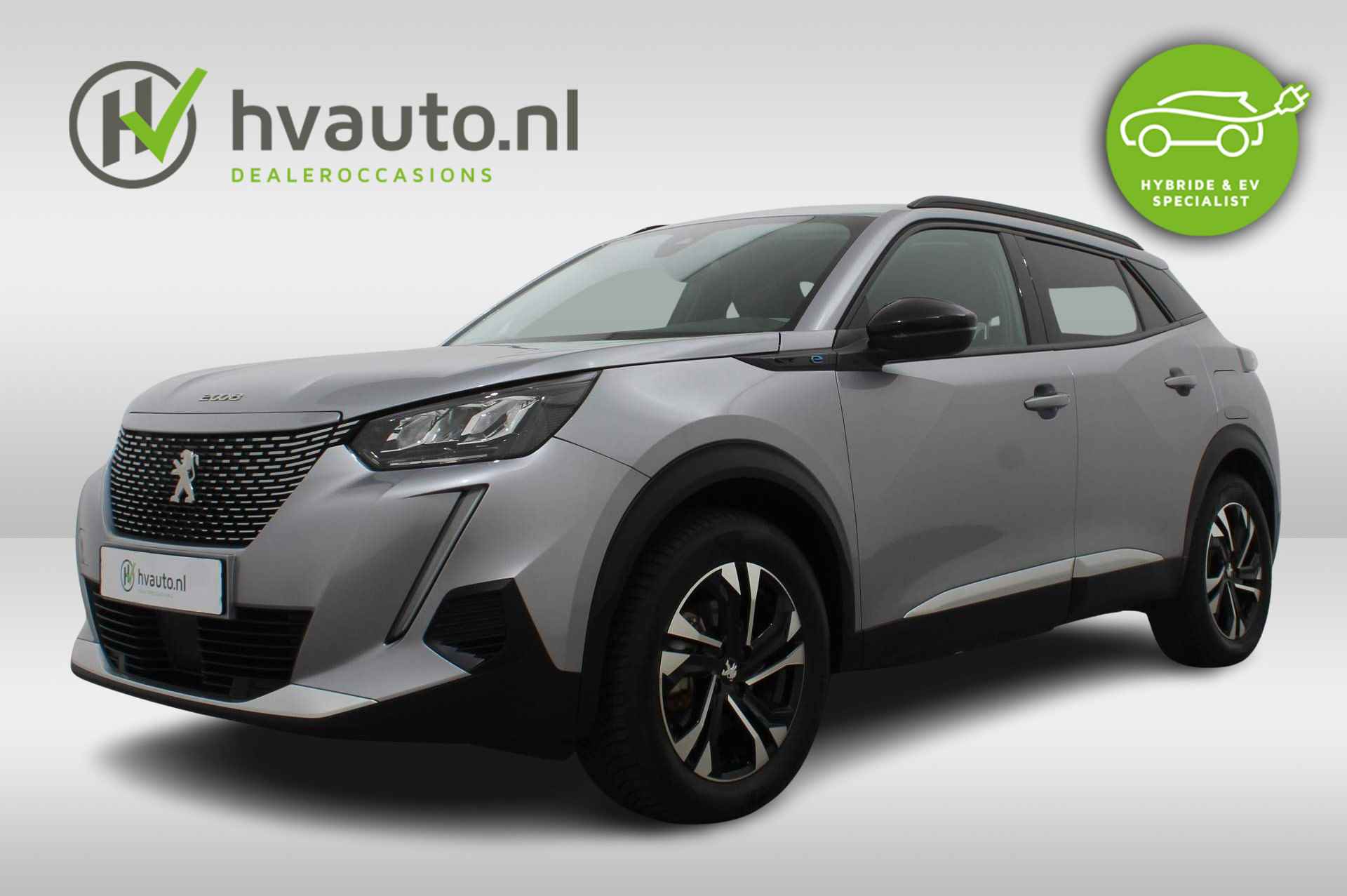 Peugeot 2008 BOVAG 40-Puntencheck