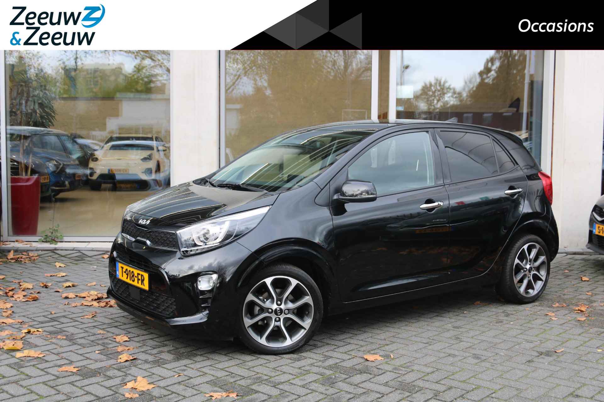 Kia Picanto BOVAG 40-Puntencheck