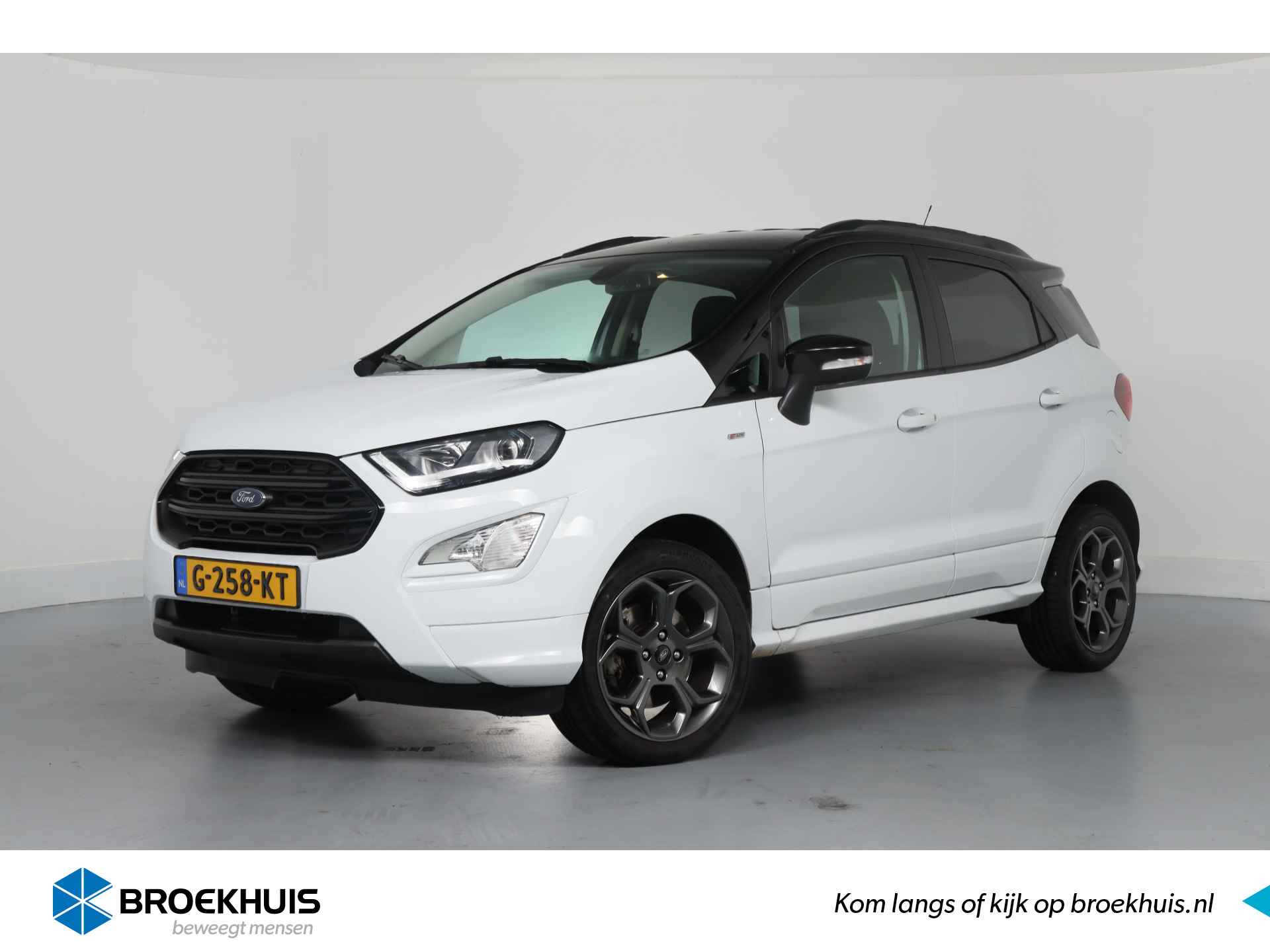 Ford EcoSport BOVAG 40-Puntencheck