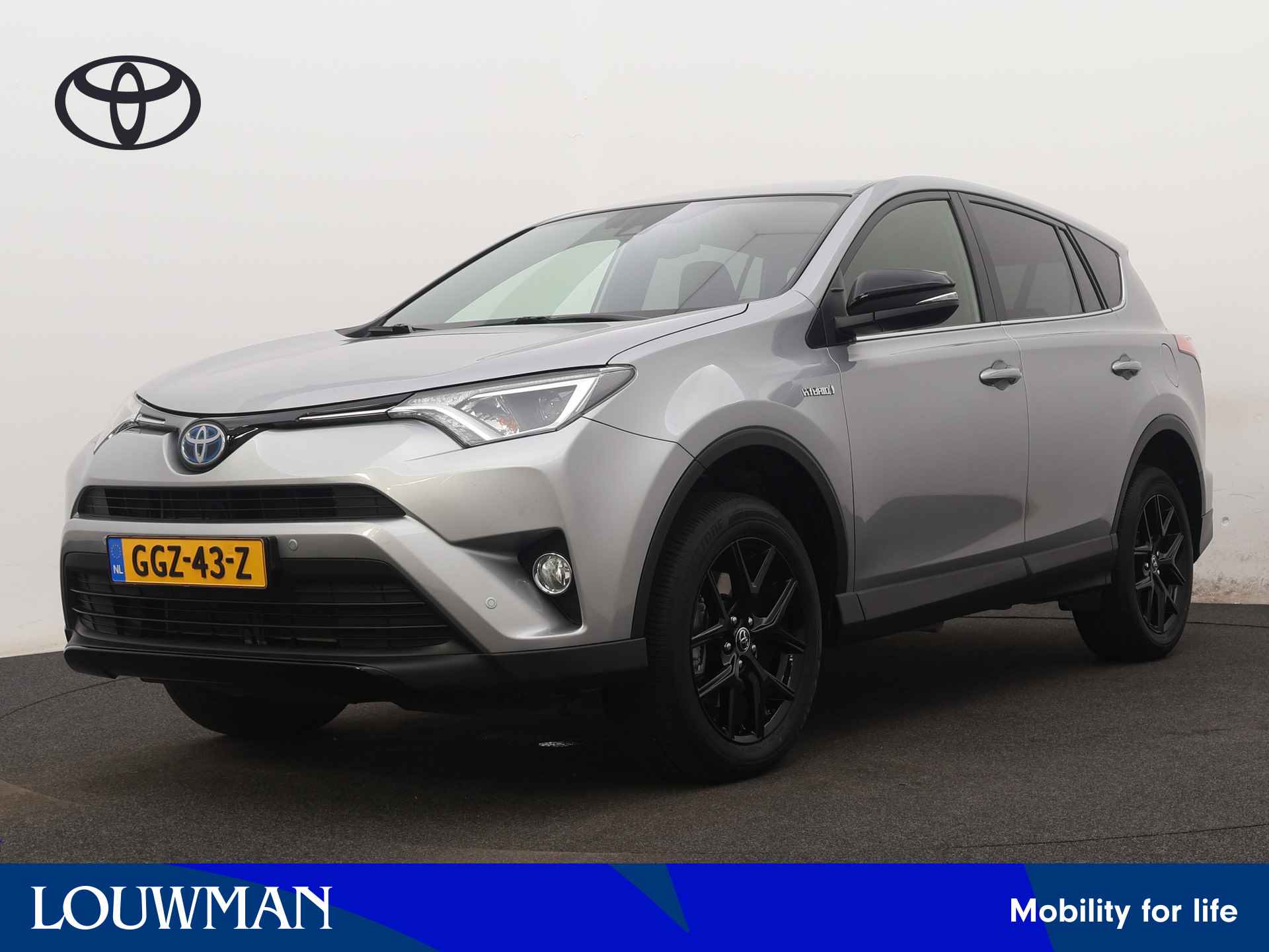 Toyota RAV4 BOVAG 40-Puntencheck