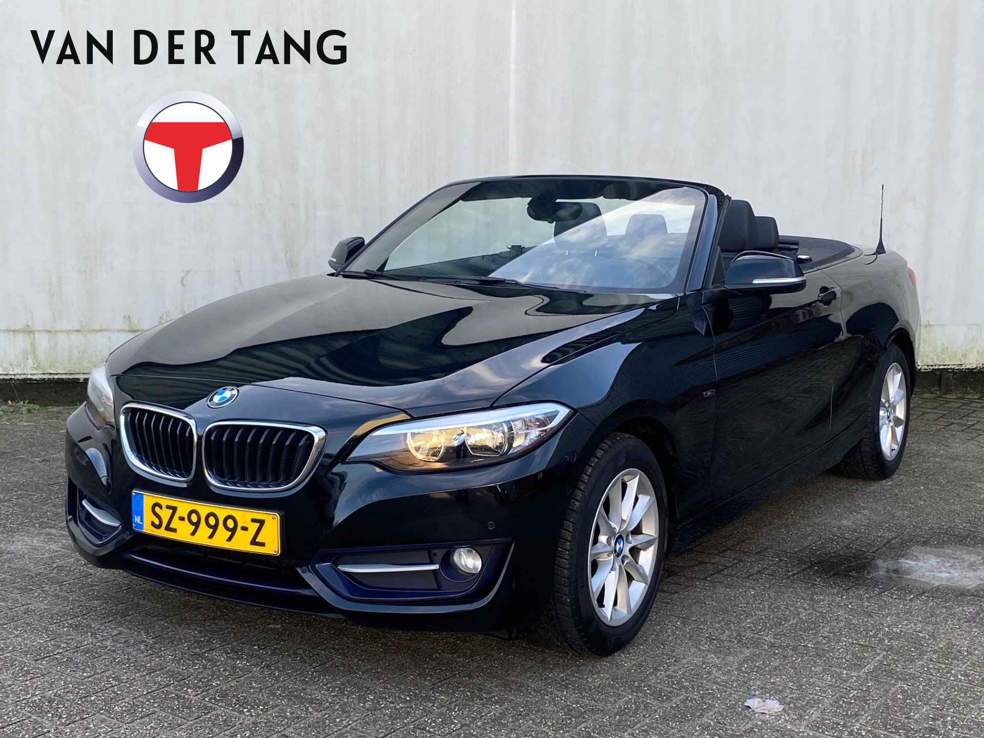 BMW 2 Serie Cabrio 218i Sportstln / Stl.vw.