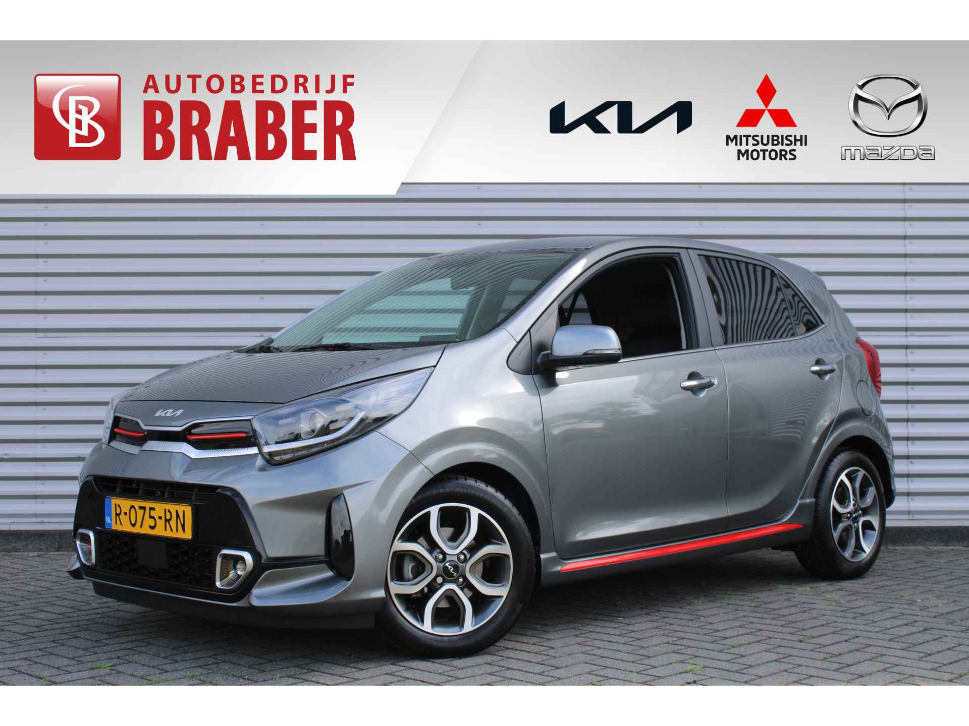 Kia Picanto BOVAG 40-Puntencheck