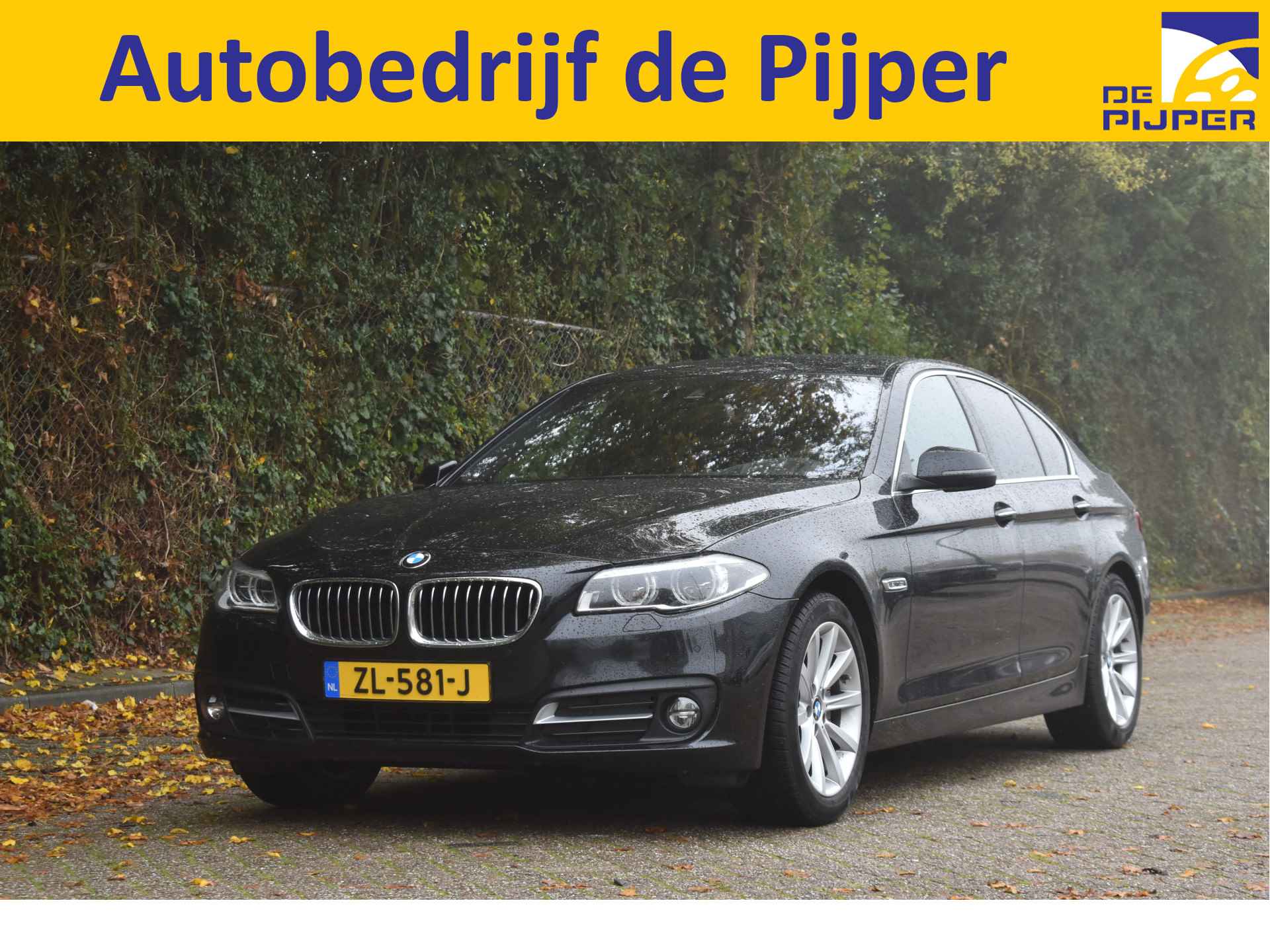 BMW 5-Serie BOVAG 40-Puntencheck