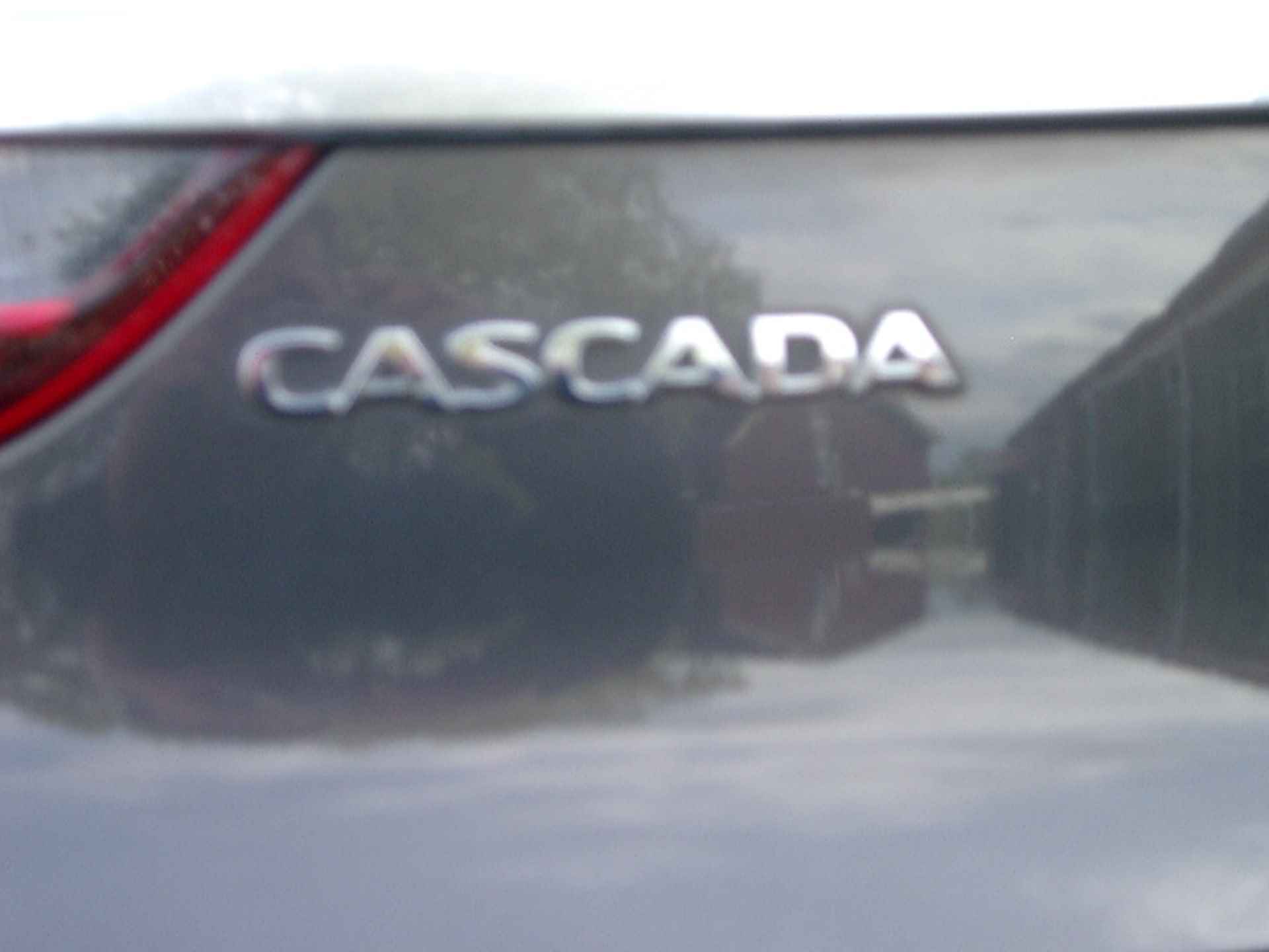 Opel Cascada 1.4 Turbo ecoFLEX Cosmo NL auto met NAP airco, navigatie, leder, achteruitrijcamera, stoel en stuur verwarming - 23/28