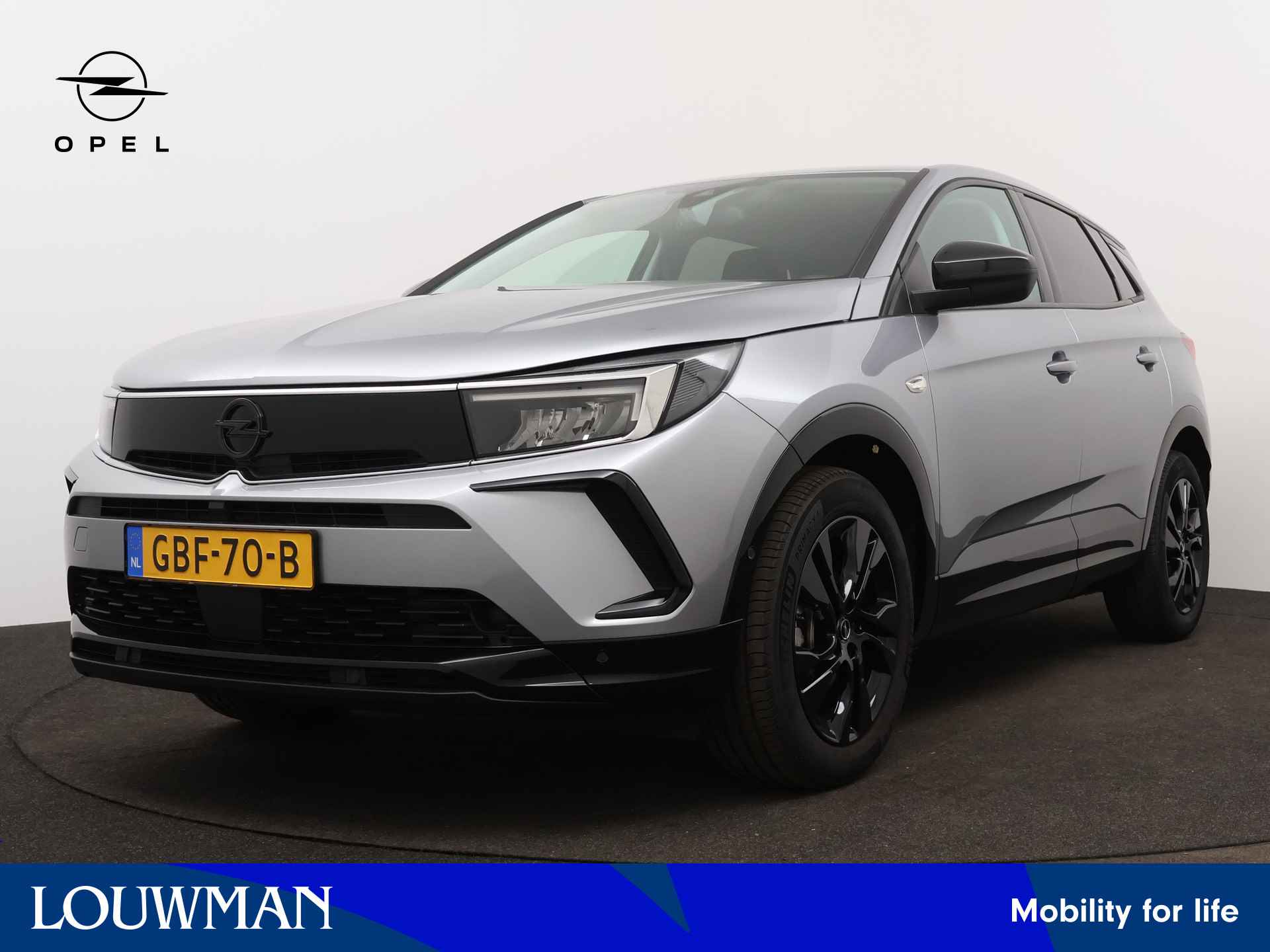 Opel Grandland X BOVAG 40-Puntencheck