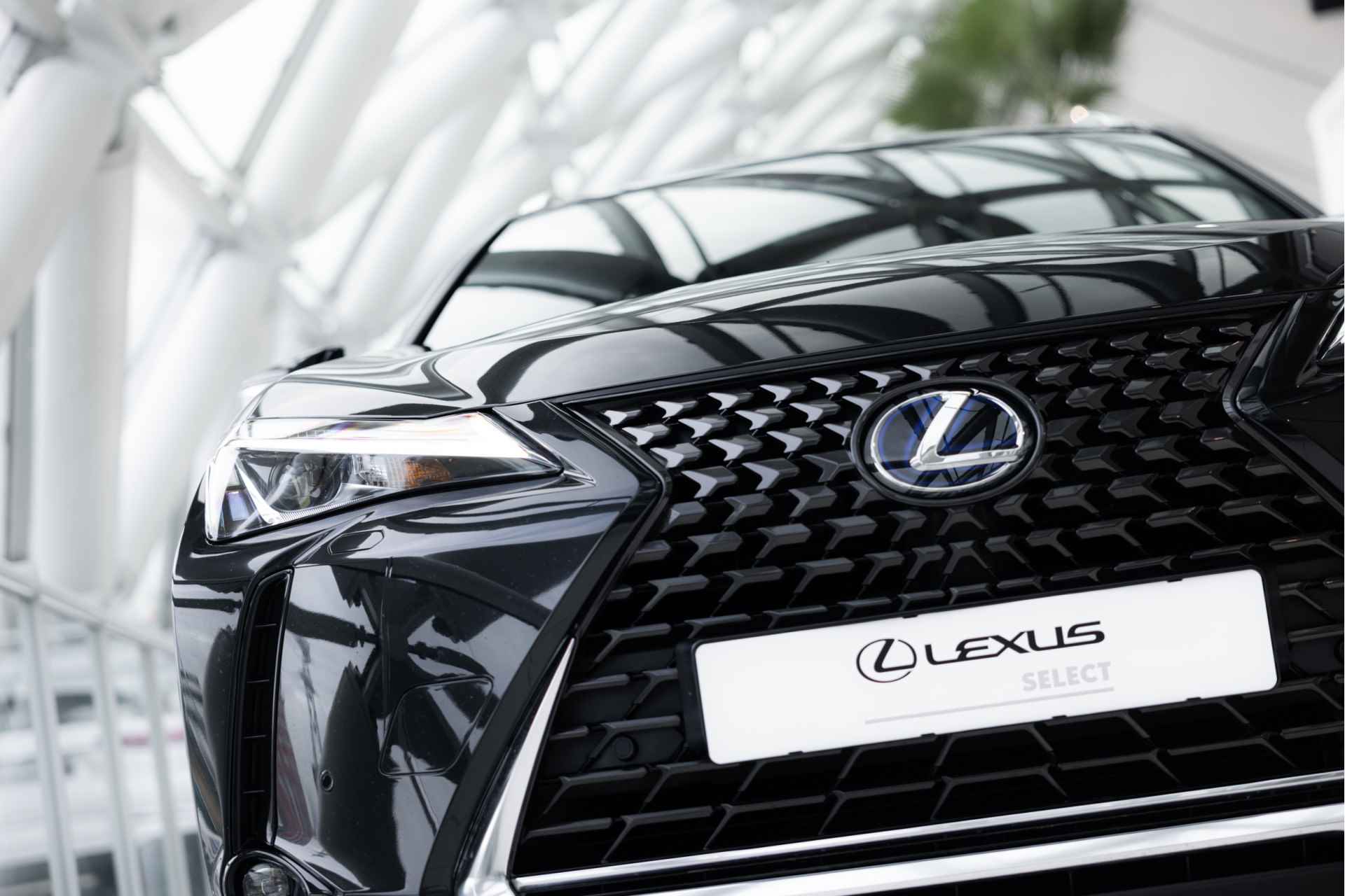 Lexus UX 250h Black Edition Limited | Stoelverwarming | Navigatie | Apple Carplay | - 40/58