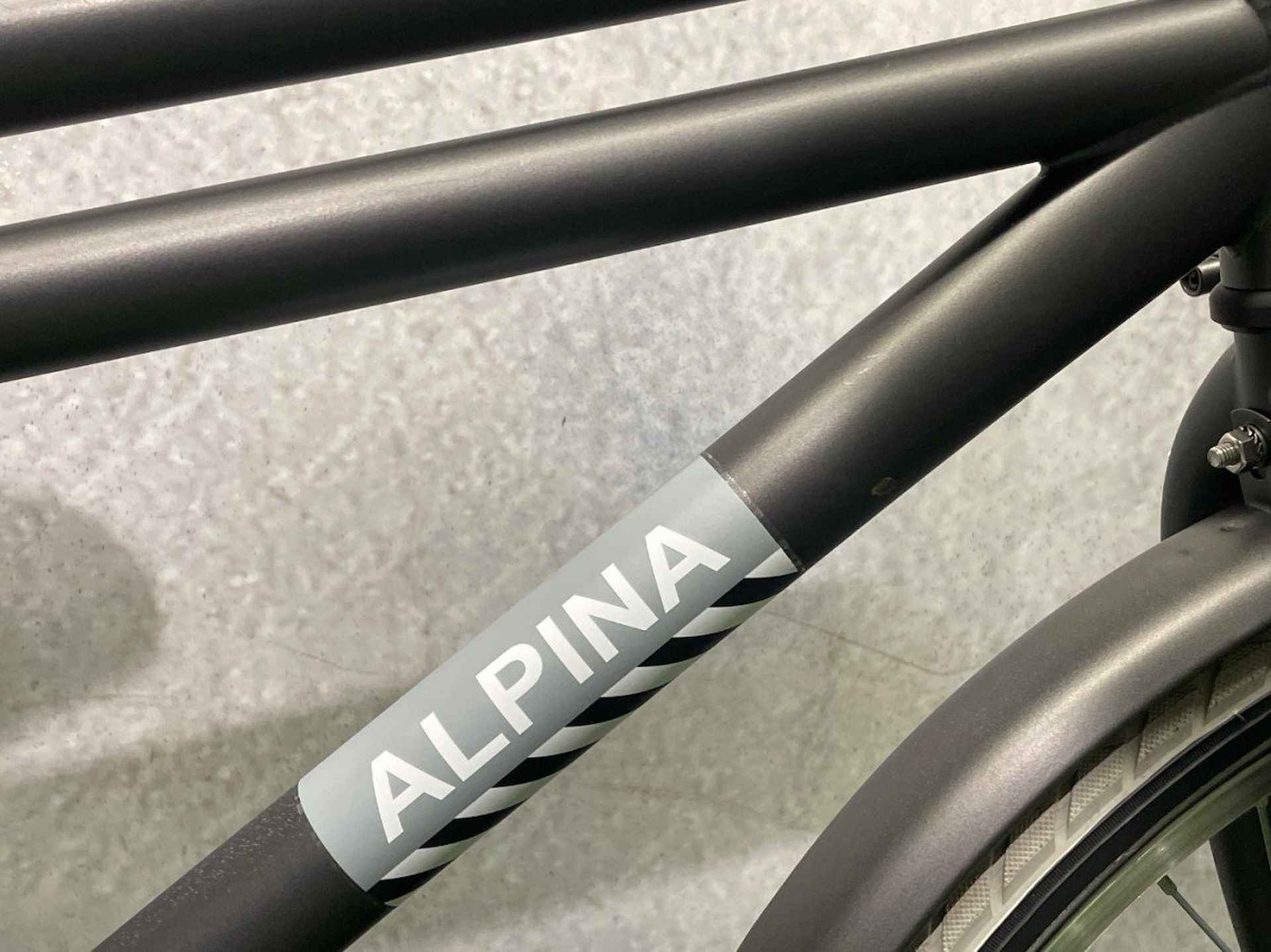 Alpina Cargo 22 inch Jongens Grijs - 2/3