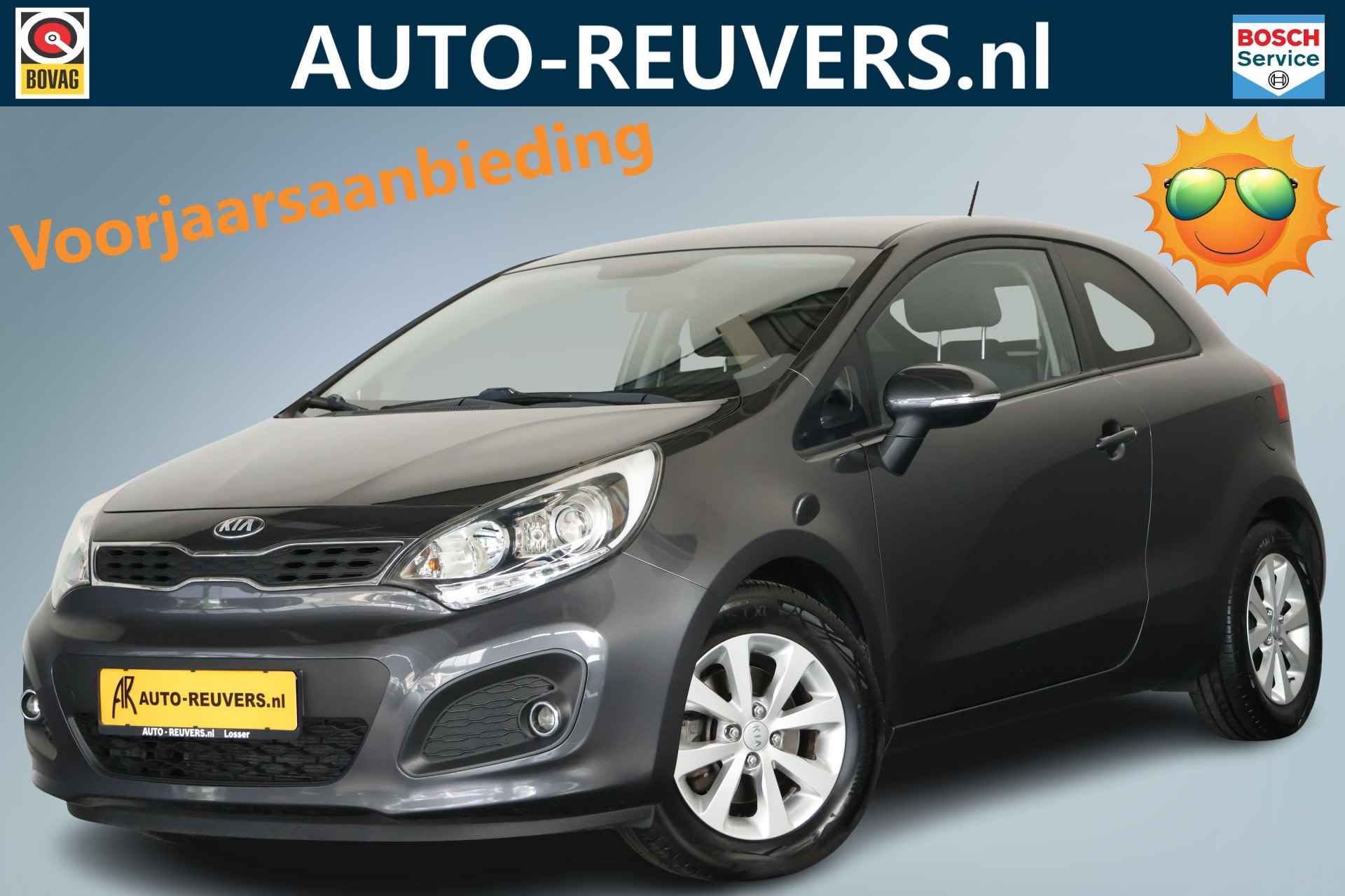 Kia Rio BOVAG 40-Puntencheck