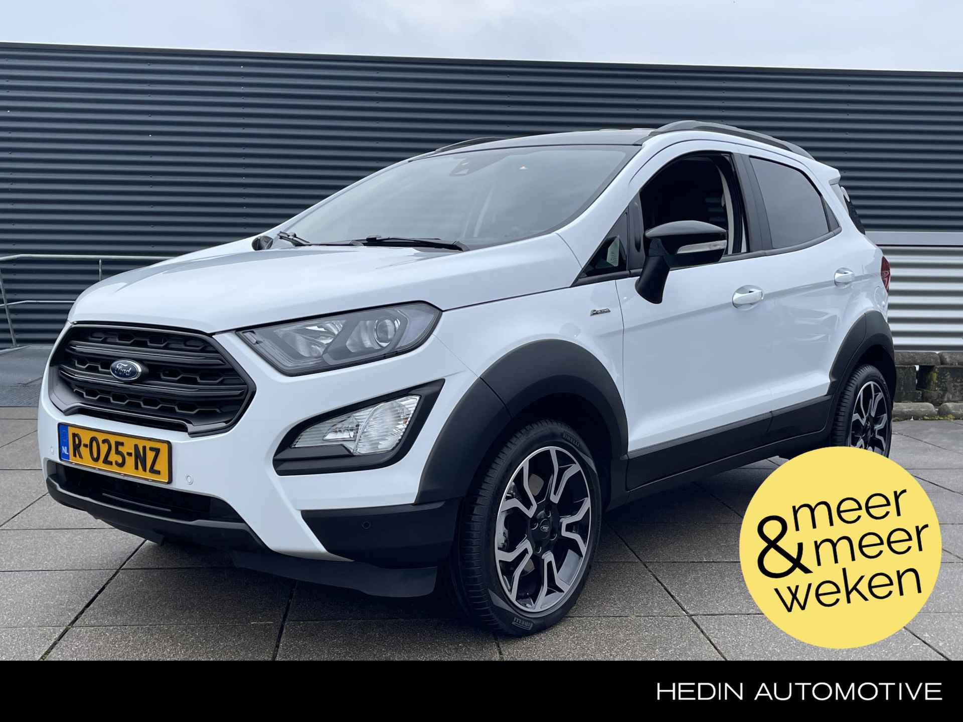 Ford EcoSport BOVAG 40-Puntencheck