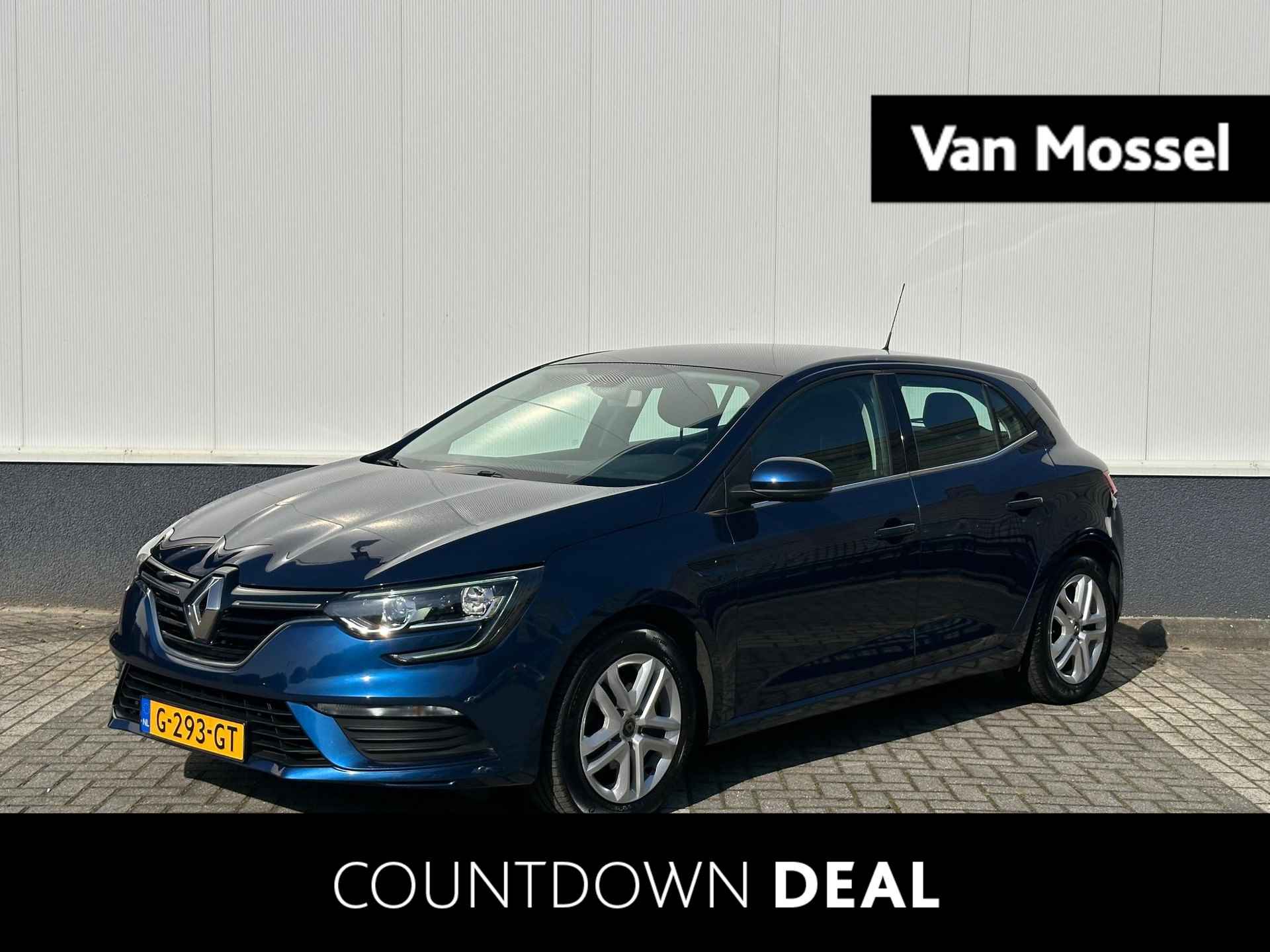 Renault Megane BOVAG 40-Puntencheck