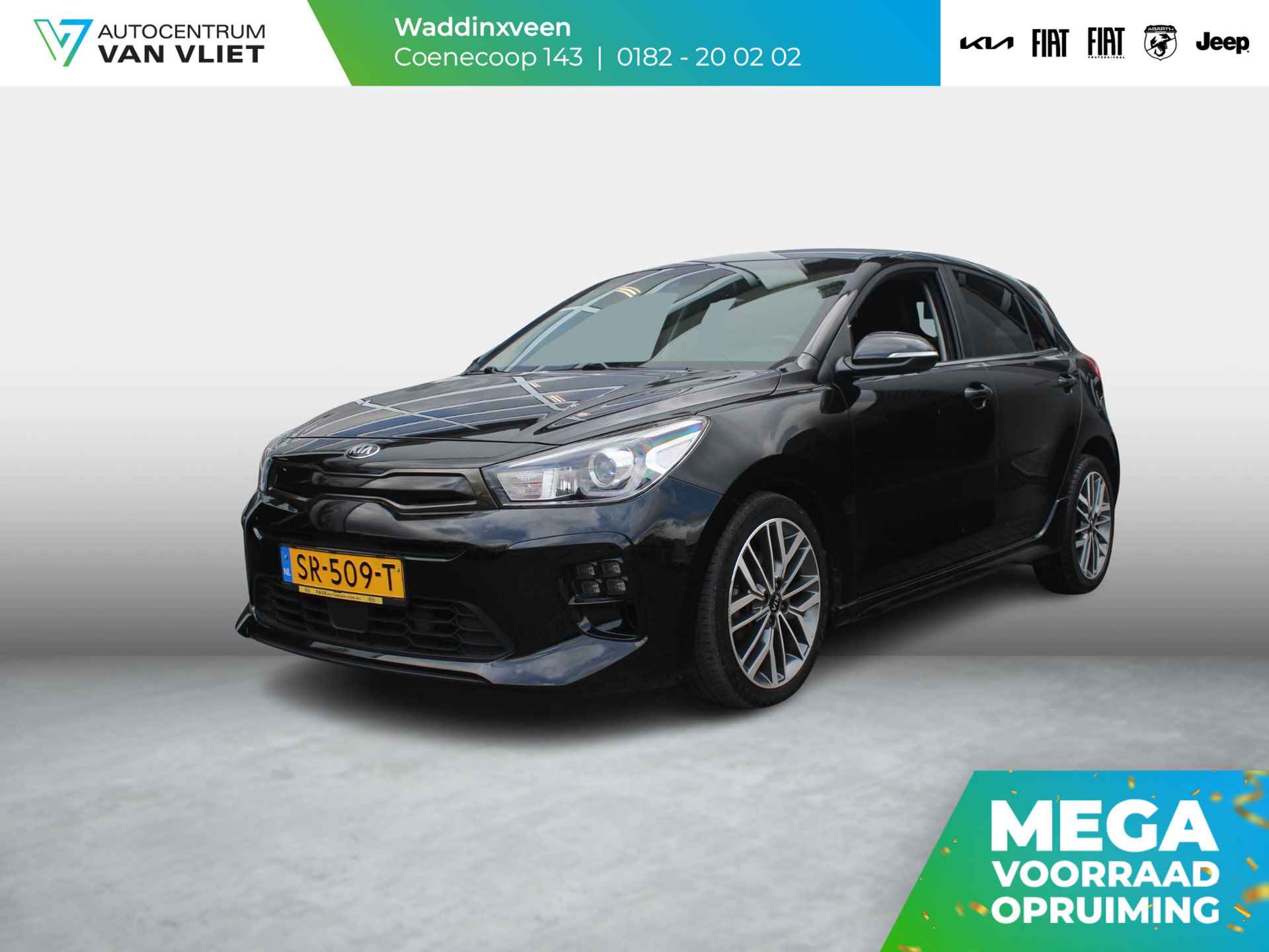 Kia Rio BOVAG 40-Puntencheck