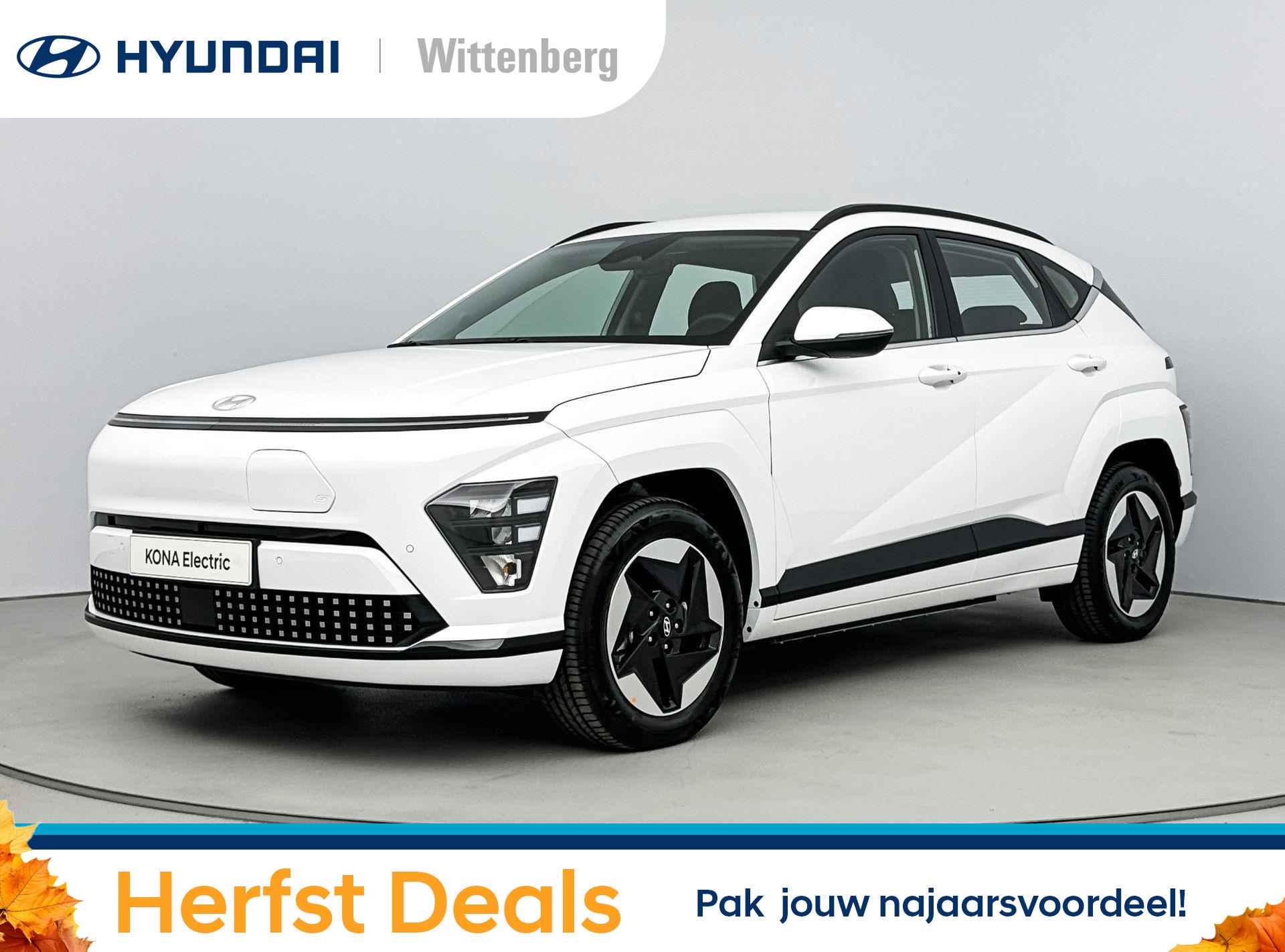 Hyundai Kona BOVAG 40-Puntencheck