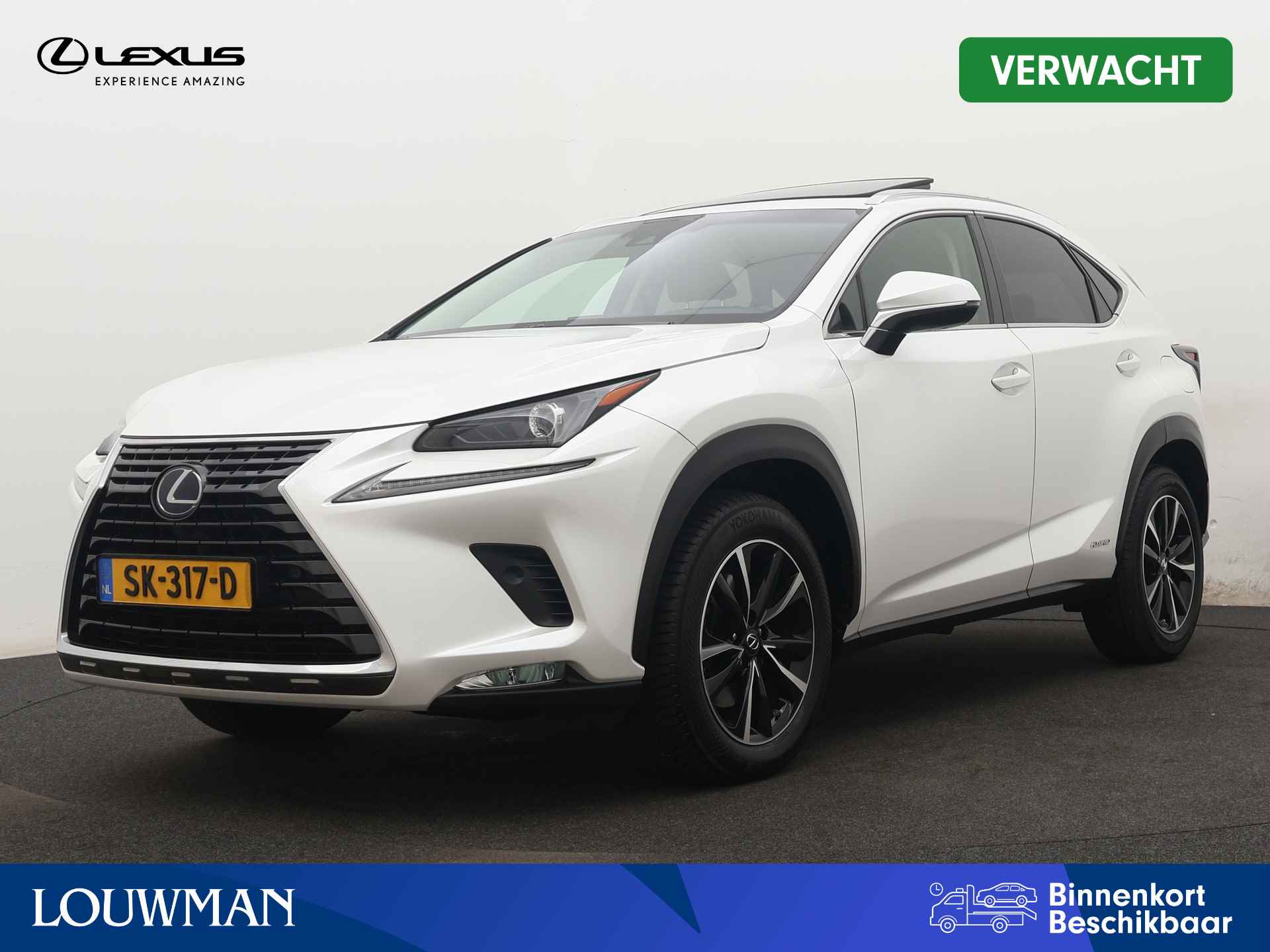 Lexus NX BOVAG 40-Puntencheck