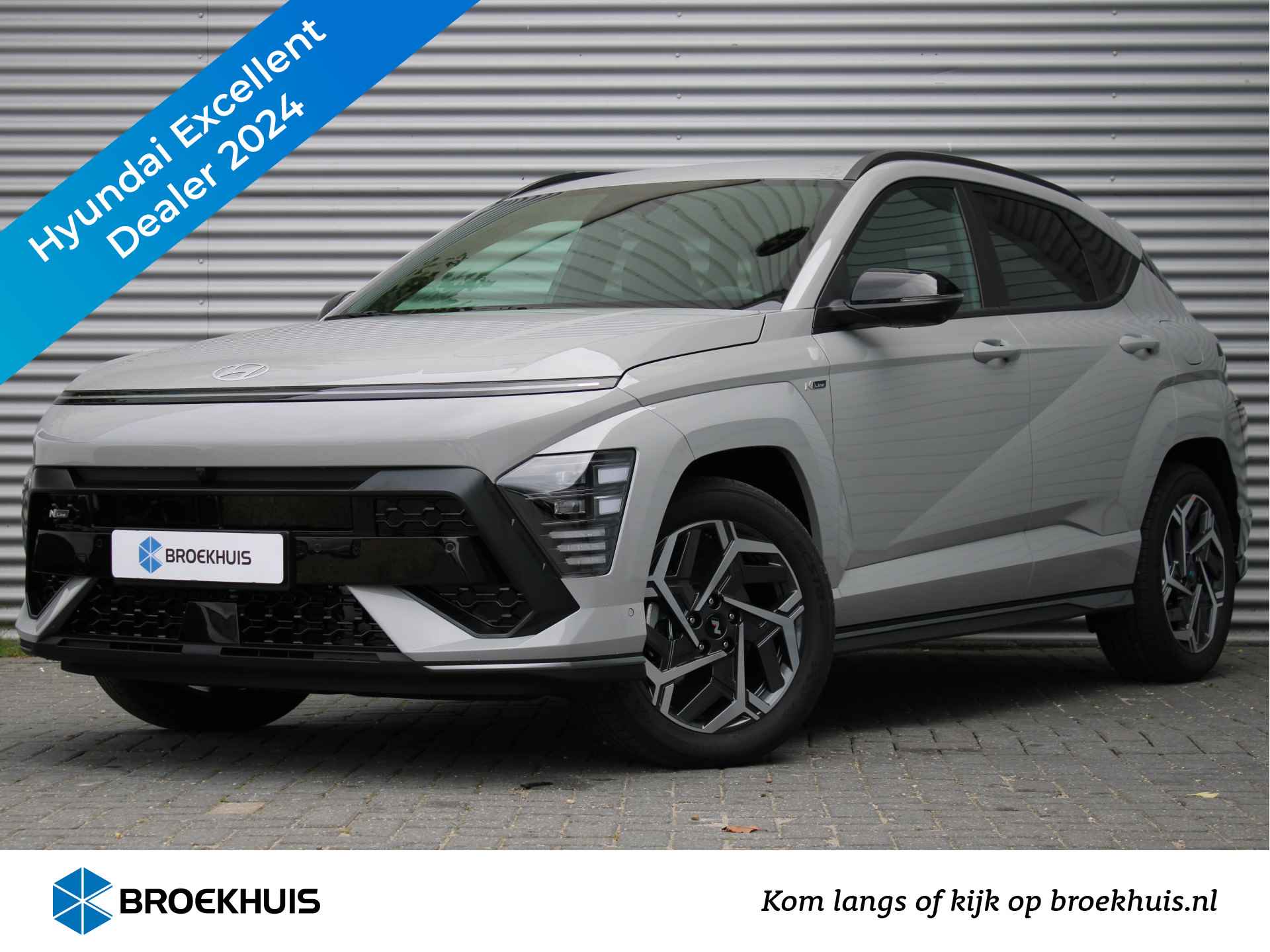 Hyundai Kona BOVAG 40-Puntencheck