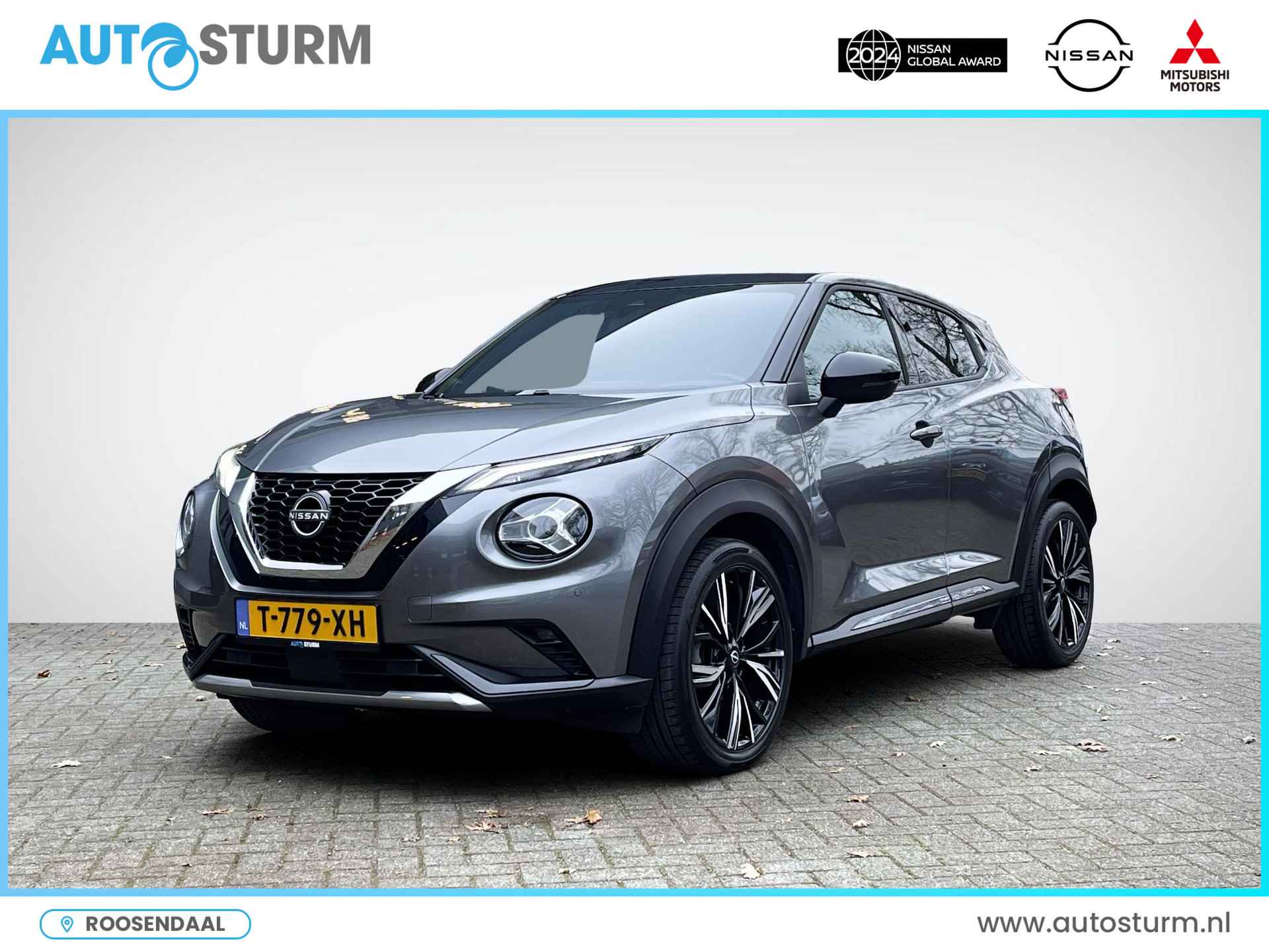 Nissan Juke BOVAG 40-Puntencheck