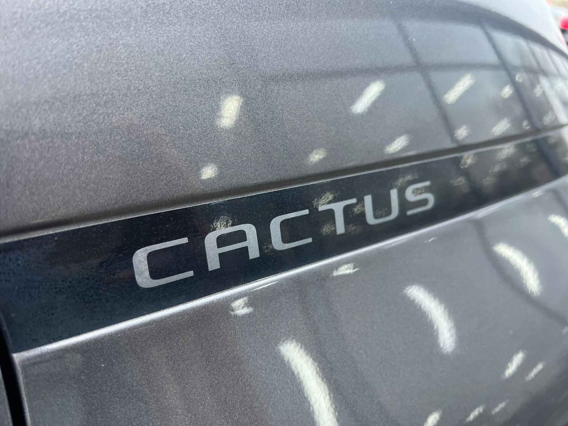 Citroën C4 Cactus 110pk Shine Camera|Navigatie|Trekhaak - 20/27