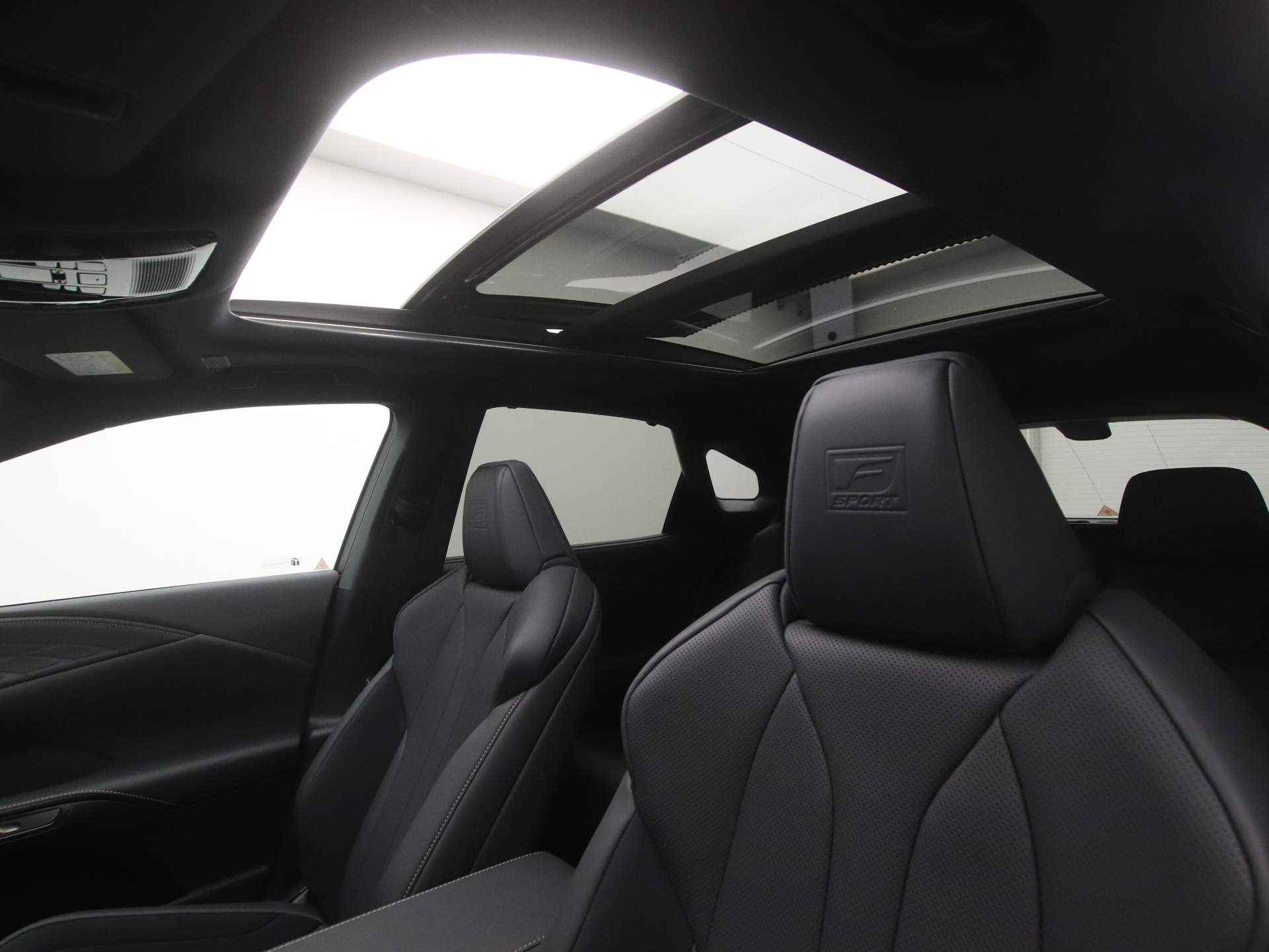 Lexus RX 500h Turbo Hybrid F-Sport Line *DEMO* | Glazen Panoramadak | Mark Levinson Premium Audio | - 50/60