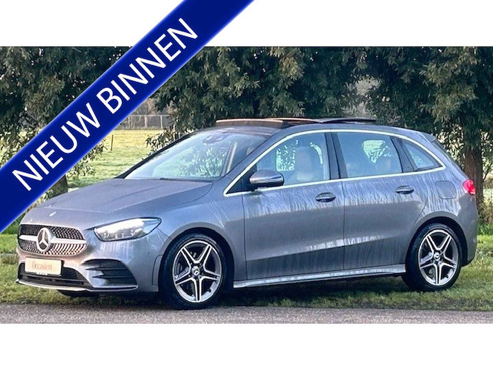 Mercedes-Benz B-Klasse BOVAG 40-Puntencheck