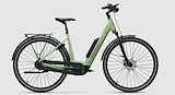 Advanced Ebike Das Original TOUR Plus Wave 55 / 545 Wh / Intuvia 100 Lage instap Basil Green Glossy 55cm 2024