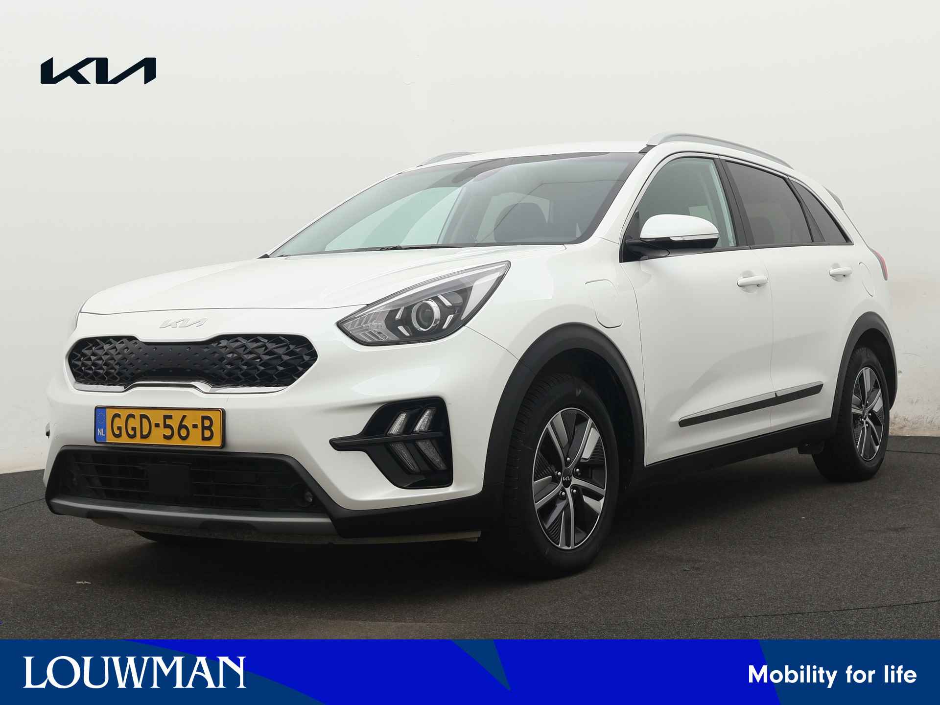 Kia Niro BOVAG 40-Puntencheck