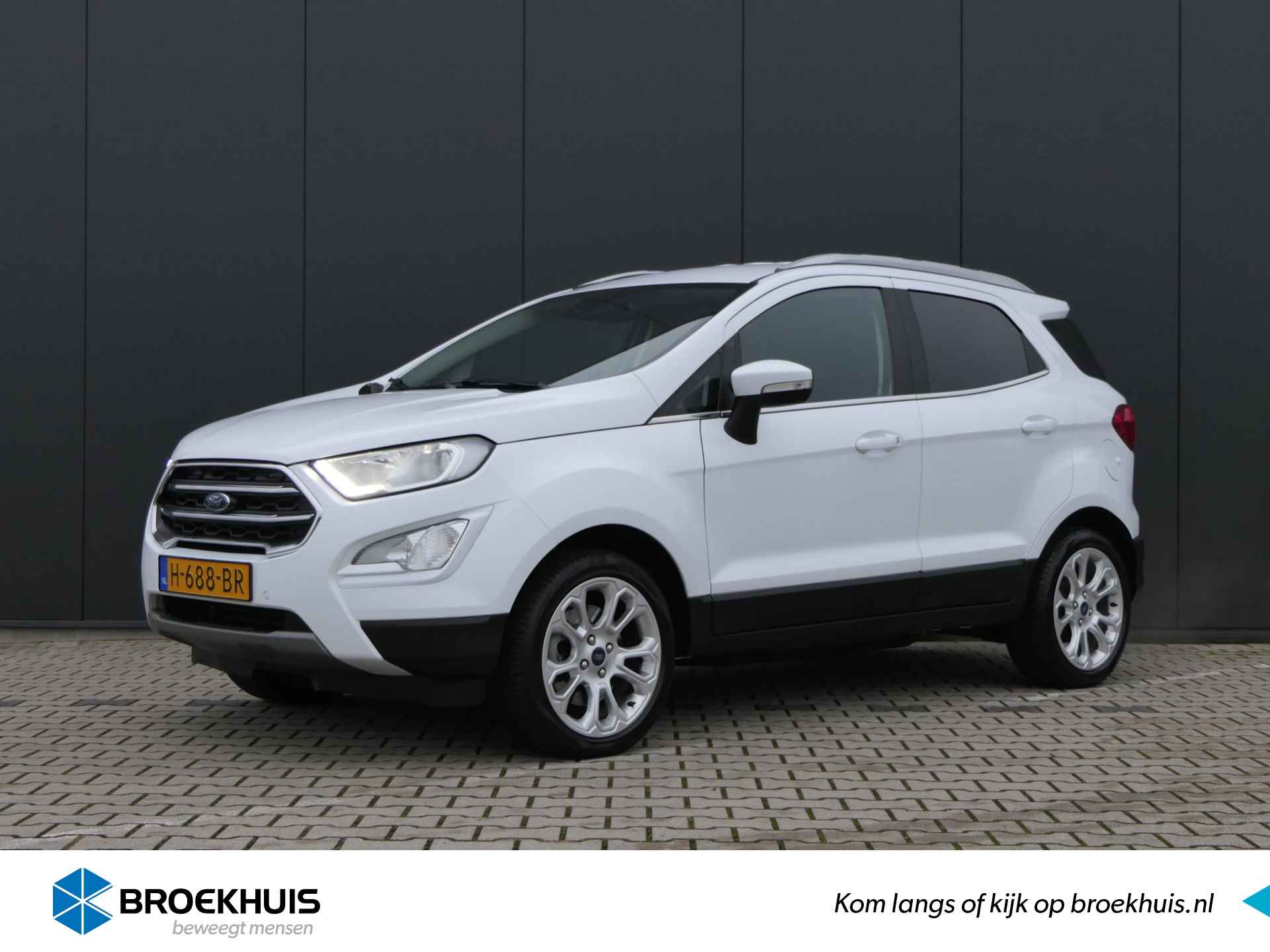 Ford EcoSport BOVAG 40-Puntencheck