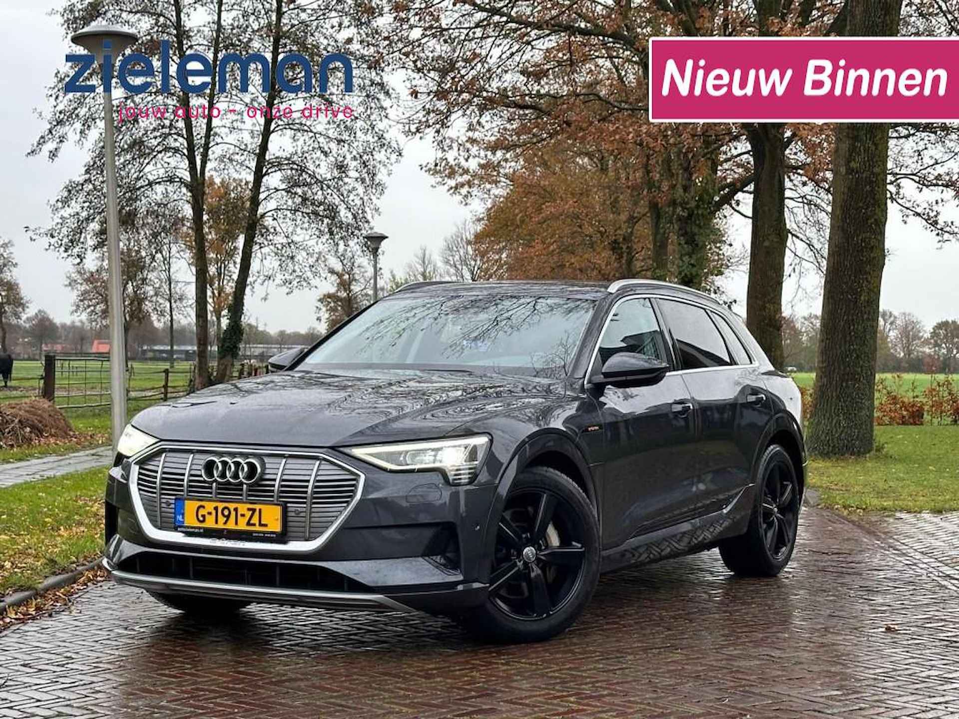 Audi e-tron BOVAG 40-Puntencheck