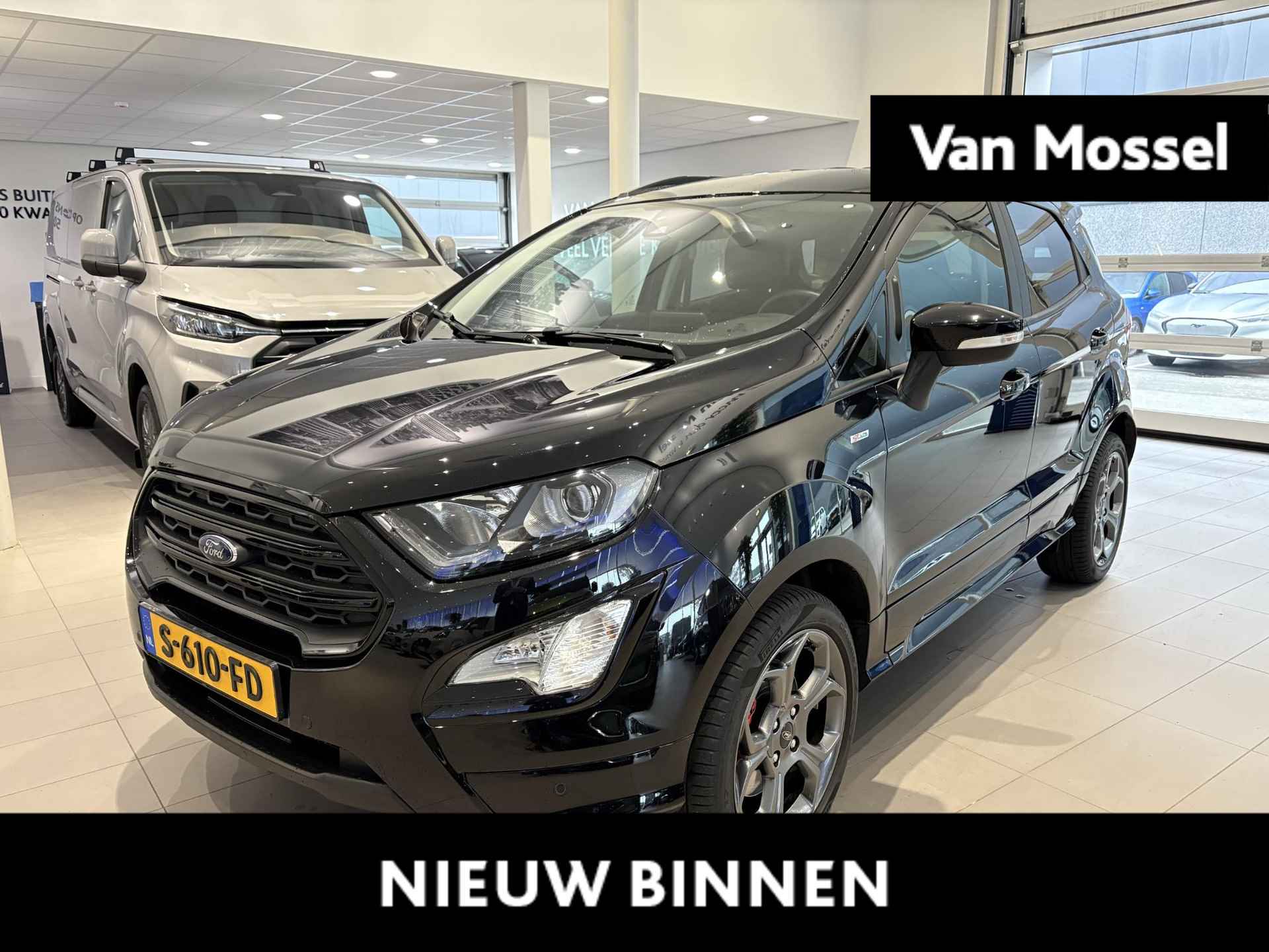 Ford EcoSport BOVAG 40-Puntencheck