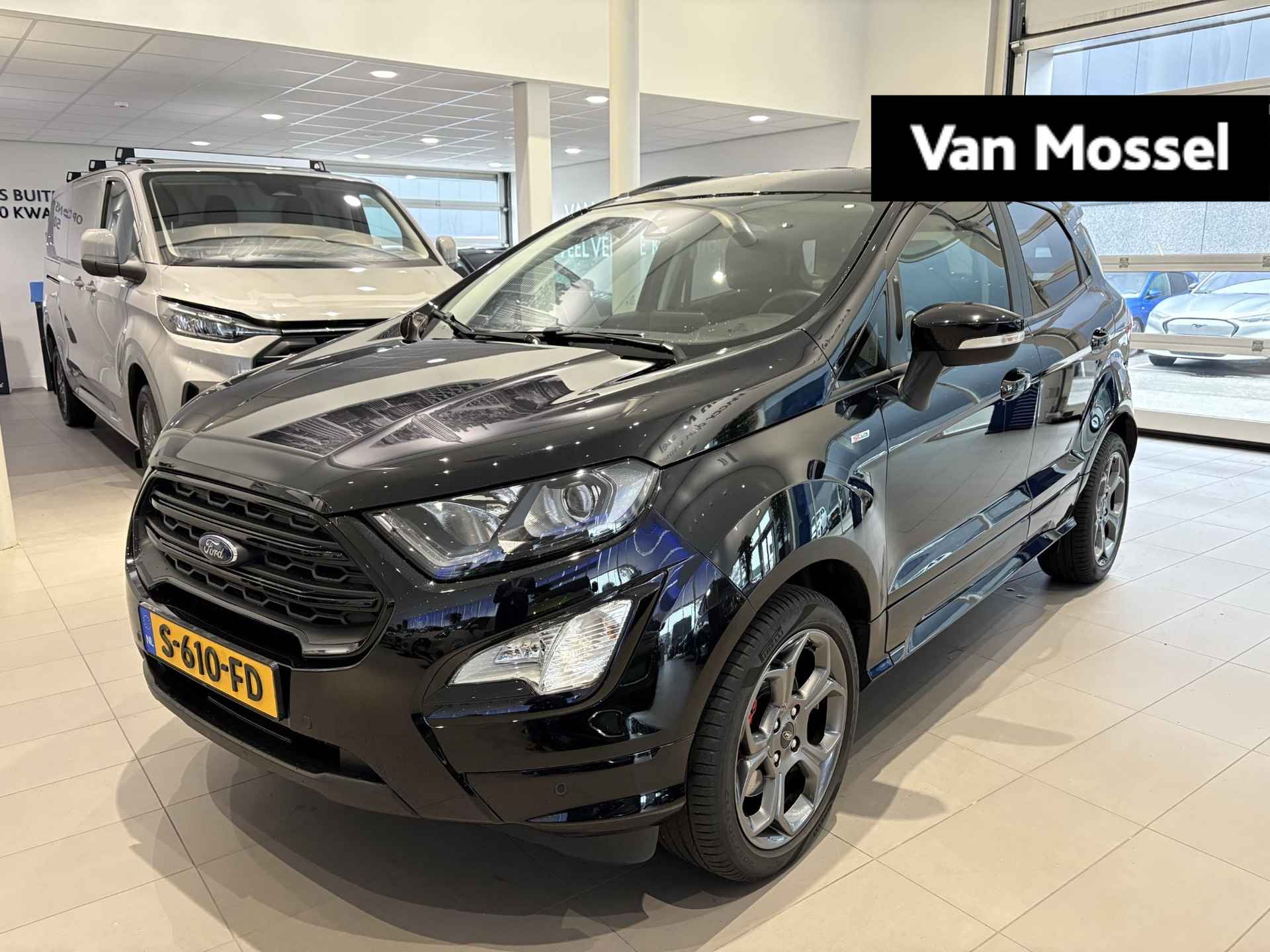 Ford EcoSport BOVAG 40-Puntencheck