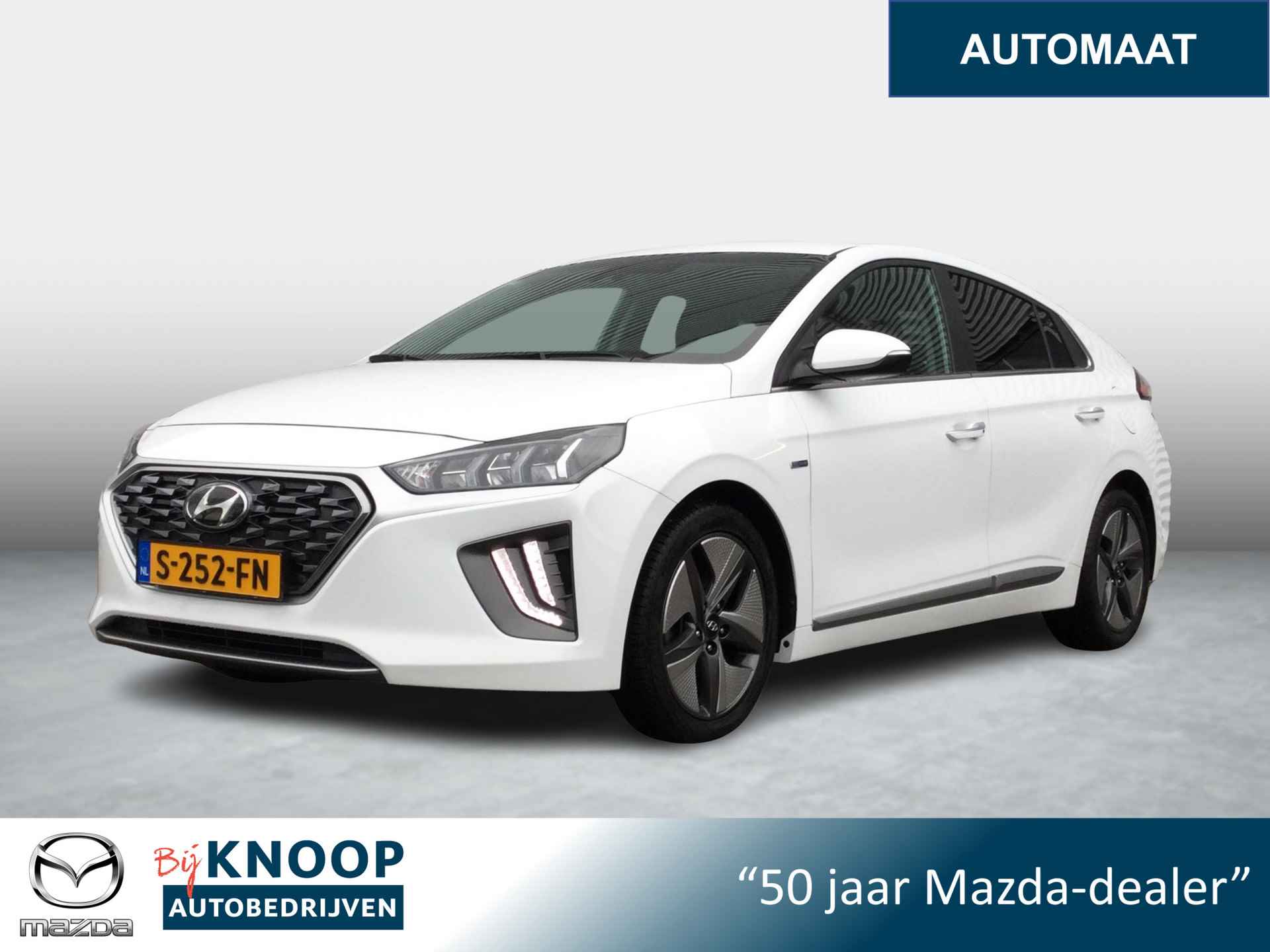 Hyundai Ioniq BOVAG 40-Puntencheck