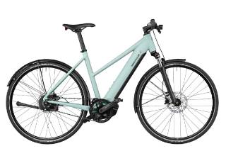 Riese & Müller Roadster Mixte vario 625wh bagagedrager comfortkit Stadsfiets Mixed E-bike bij viaBOVAG.nl