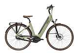 QWIC Premium I MN7+ 400 watt Dames Khaki Green 54cm L 2022