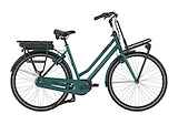 Gazelle Heavy Duty NL C7+ HMB D54 N Thyme Green