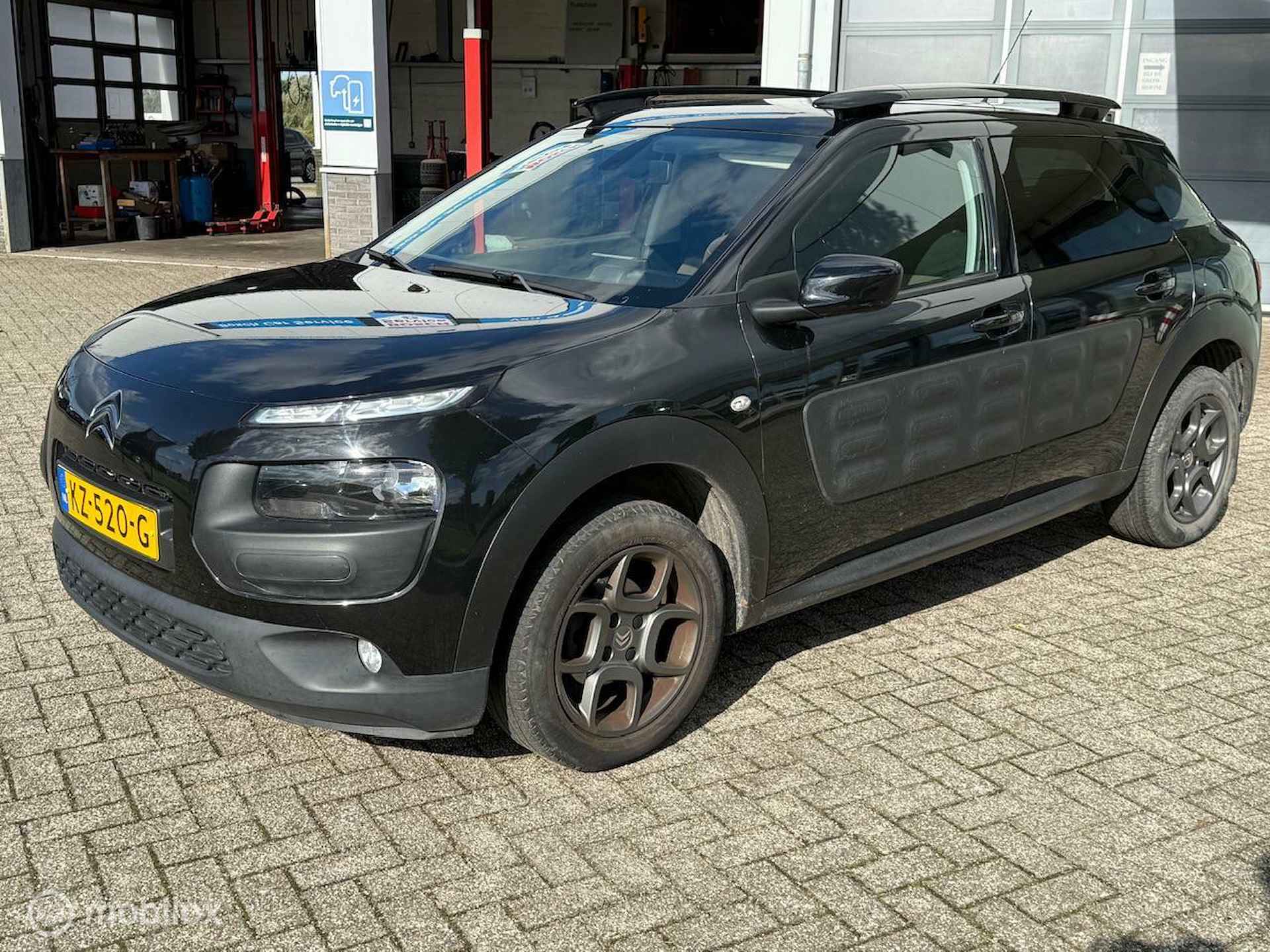 Citroën C4 Cactus BOVAG 40-Puntencheck