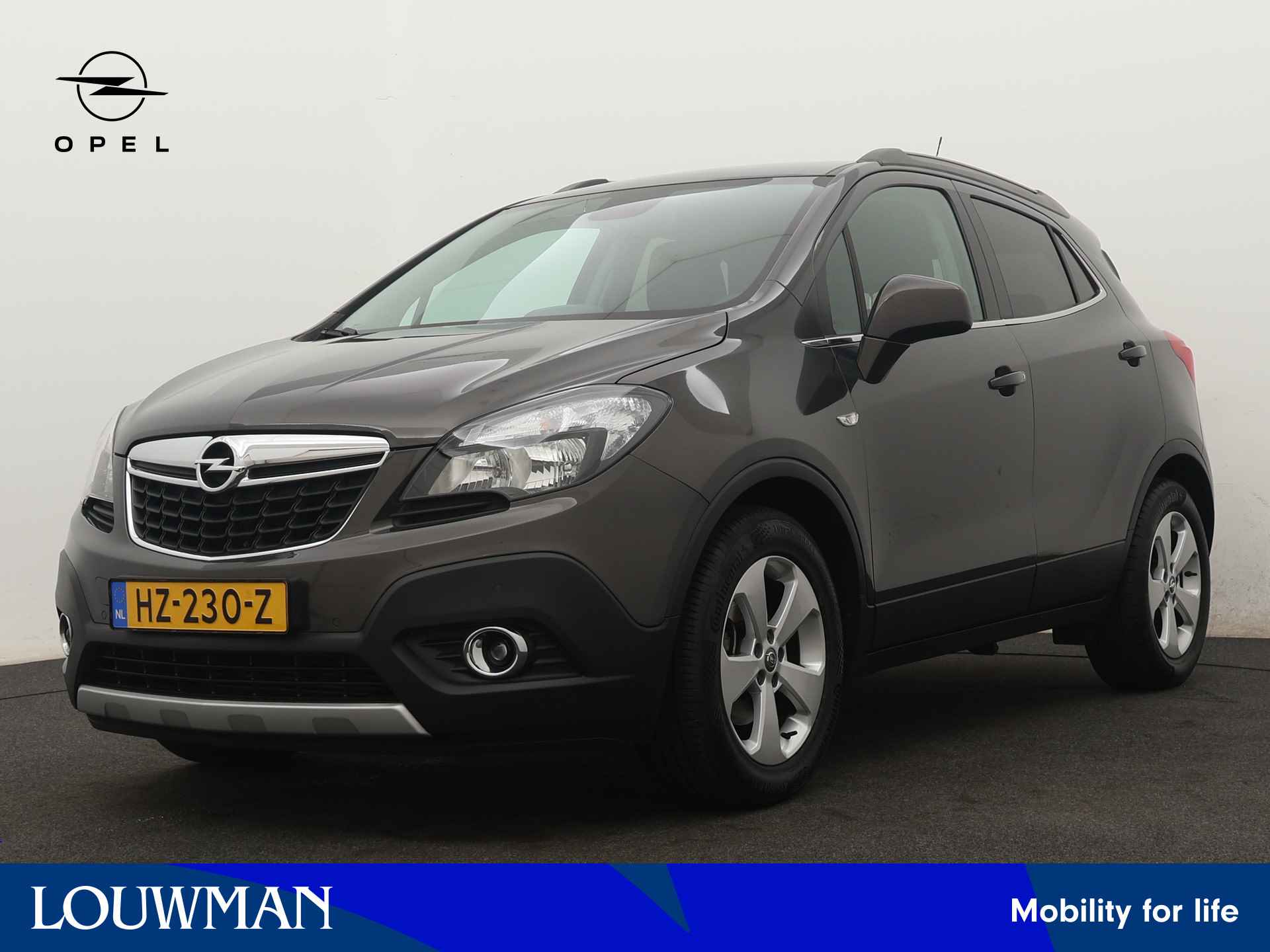 Opel Mokka BOVAG 40-Puntencheck