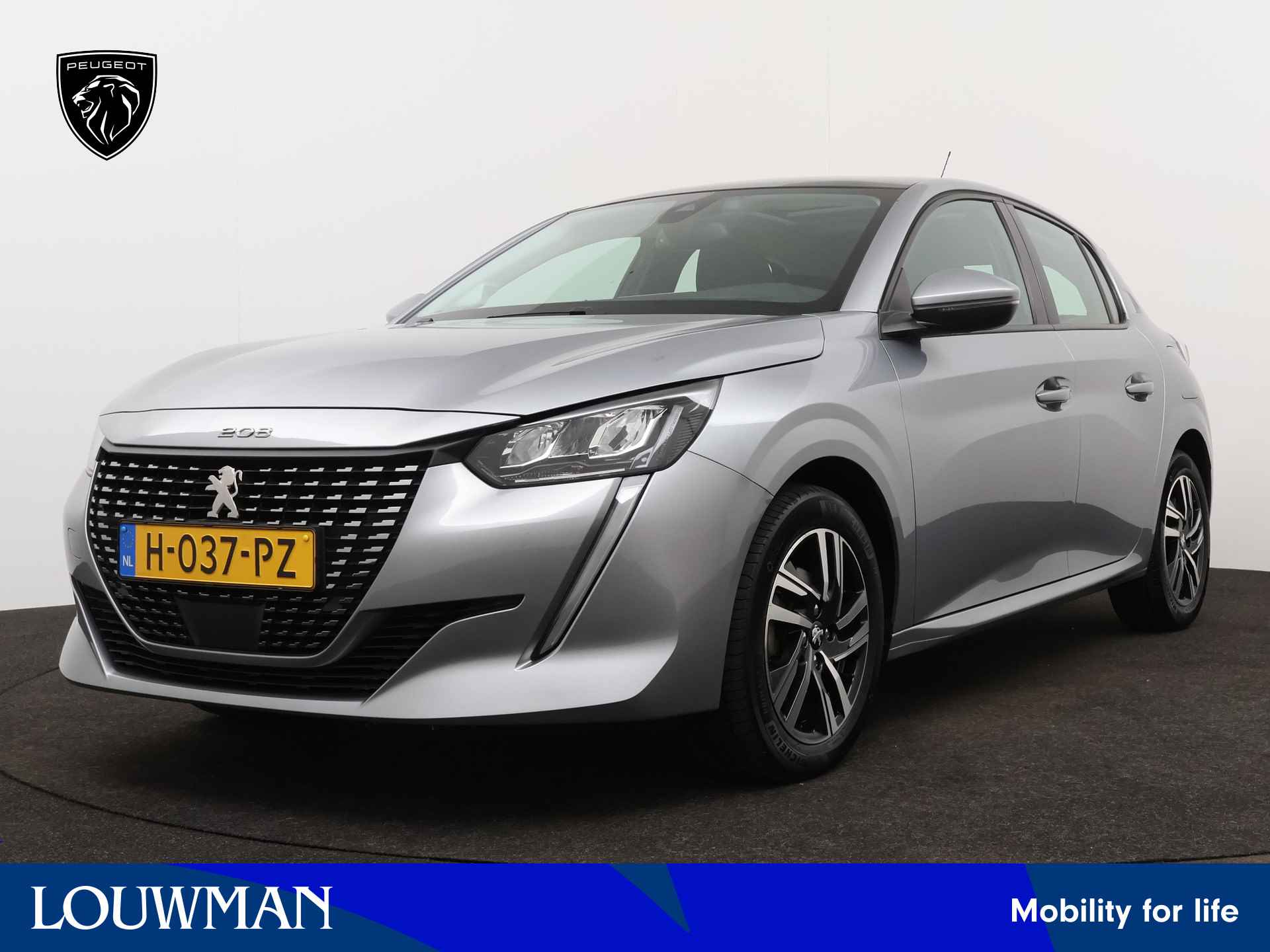 Peugeot 208 BOVAG 40-Puntencheck