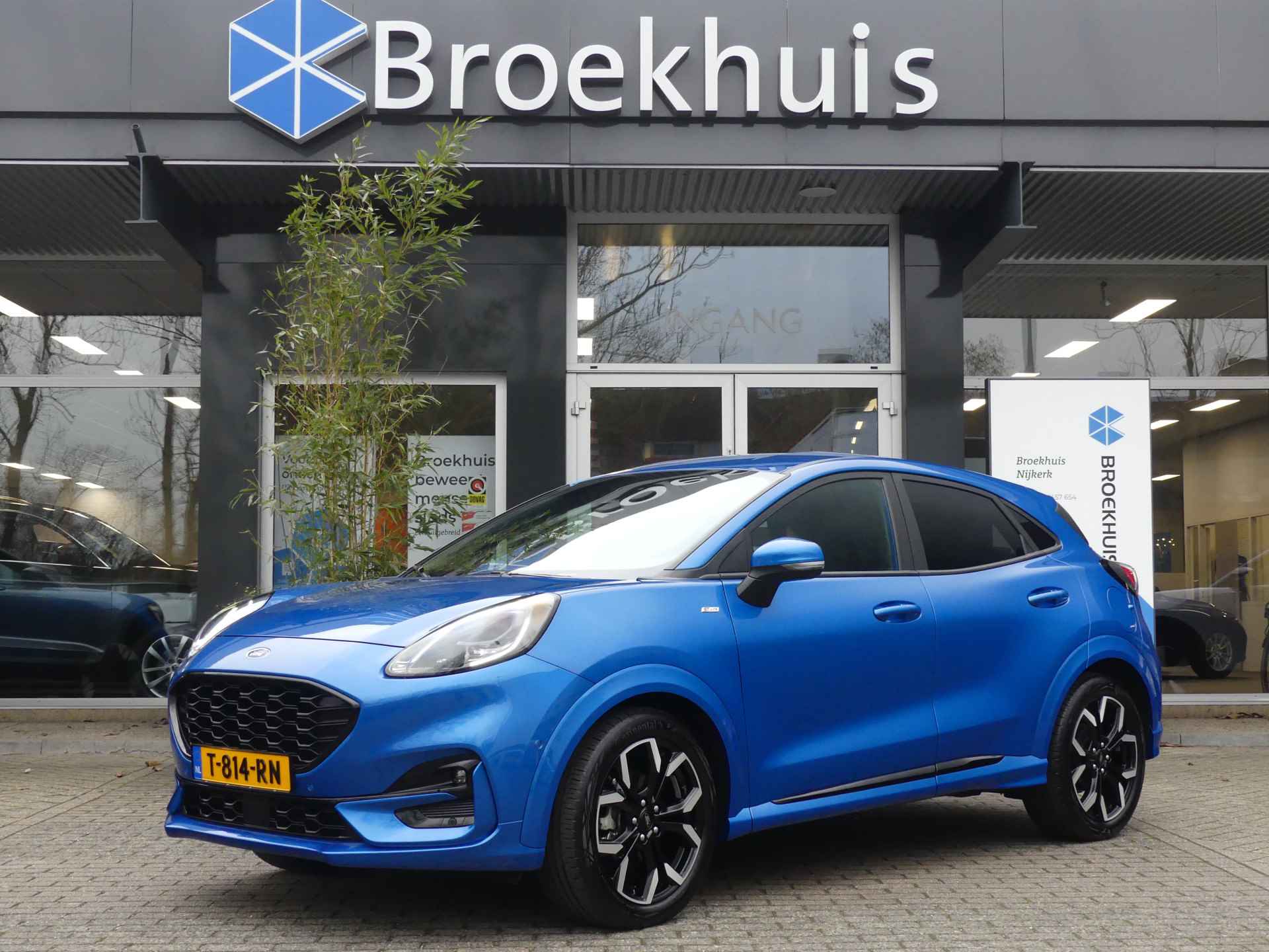 Ford Puma BOVAG 40-Puntencheck