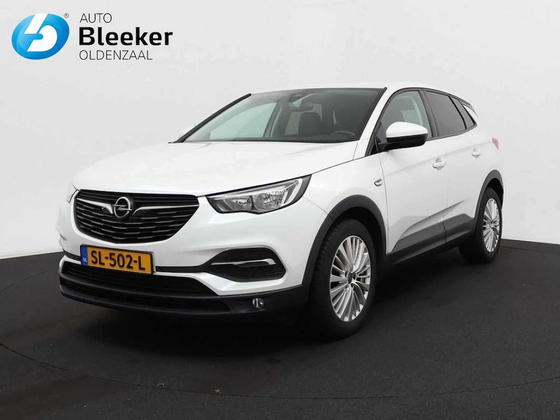 Opel Grandland X BOVAG 40-Puntencheck