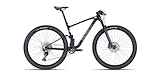 Olympia F1-X v2 Shiny Black Carbon Chrome decal L 2024