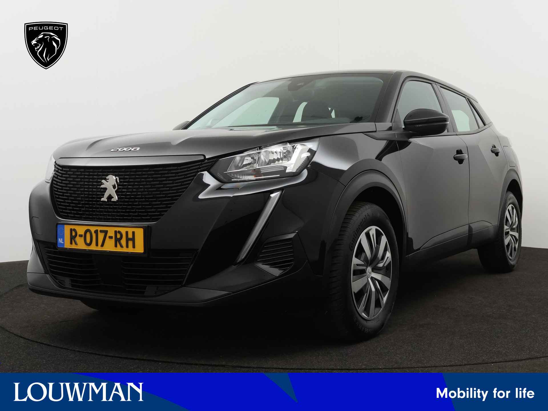 Peugeot 2008 BOVAG 40-Puntencheck