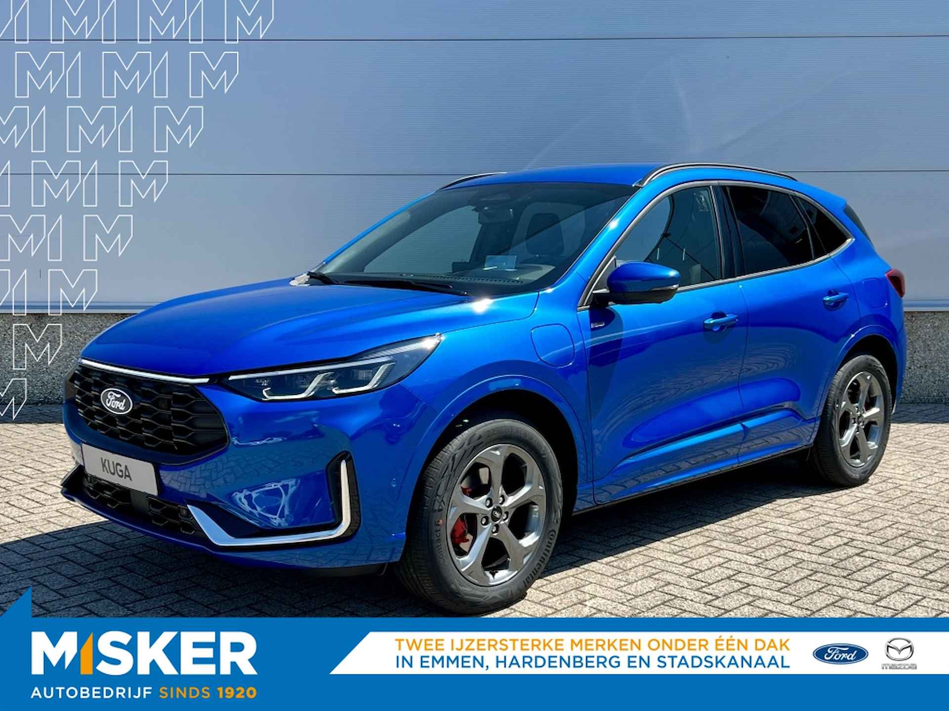 Ford Kuga BOVAG 40-Puntencheck