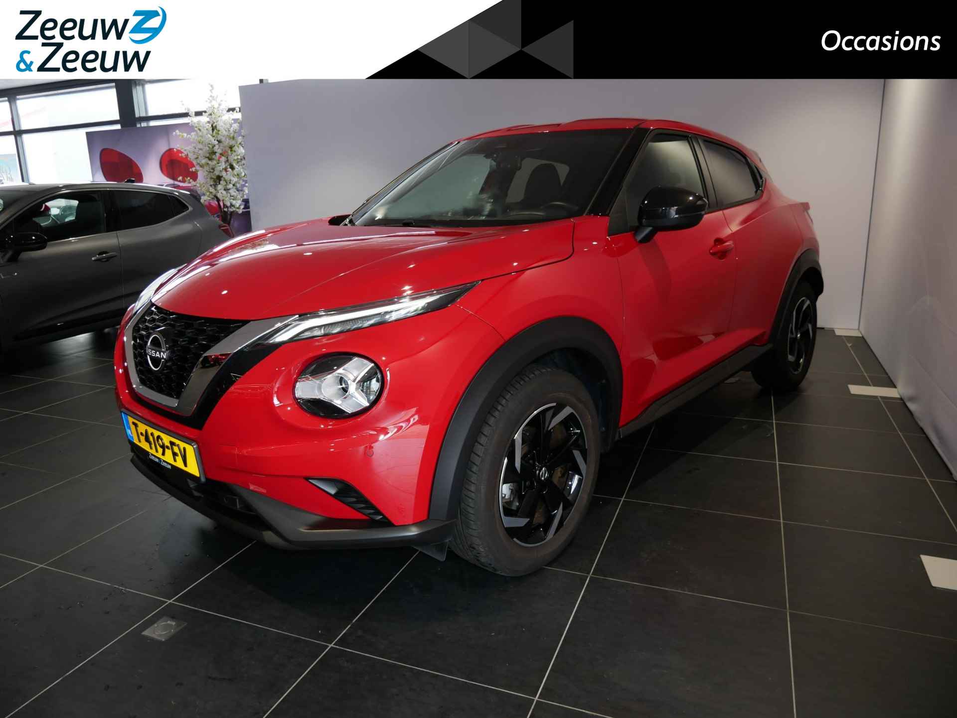 Nissan Juke BOVAG 40-Puntencheck