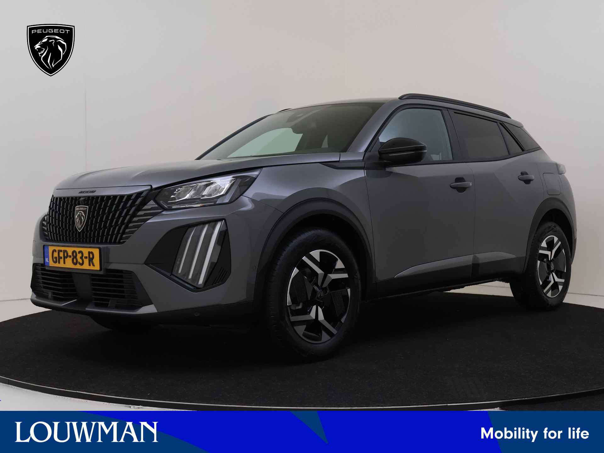 Peugeot 2008 BOVAG 40-Puntencheck